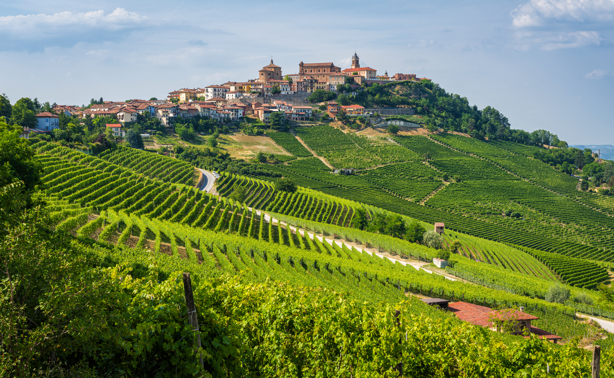 Hügel mit Weinbergen und Dorf im Hintergrund bei sonnigem Wetter.