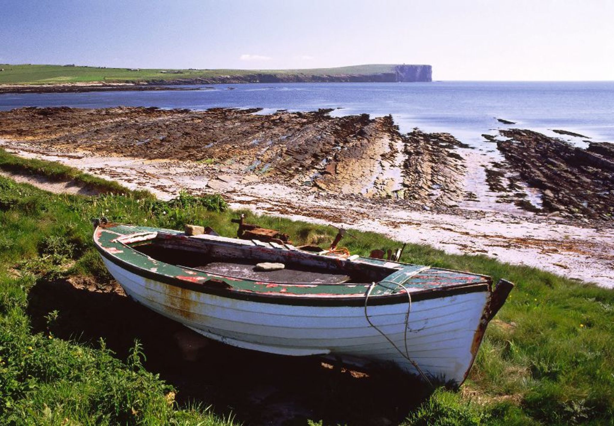 Insel Orkney Bild