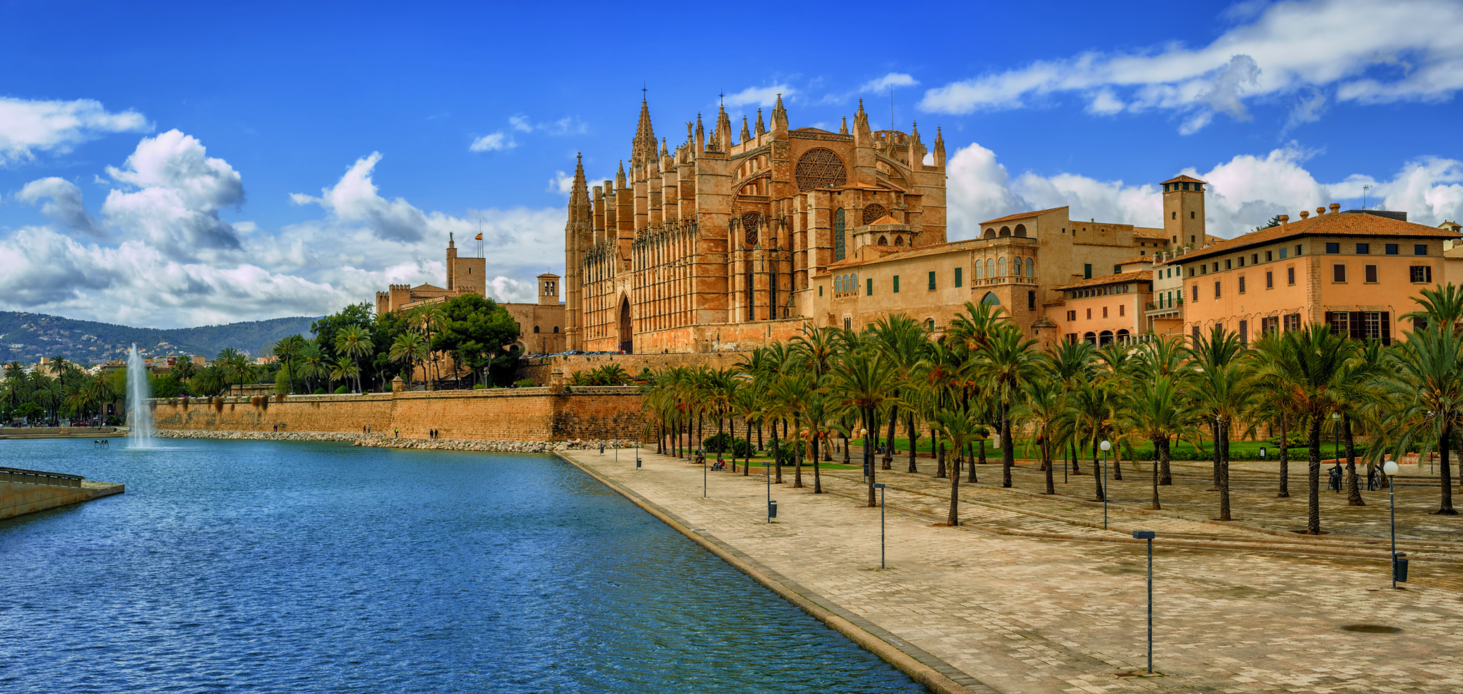 Kathedrale von Palma de Mallorca am Wasser mit Palmen im Vordergrund.
