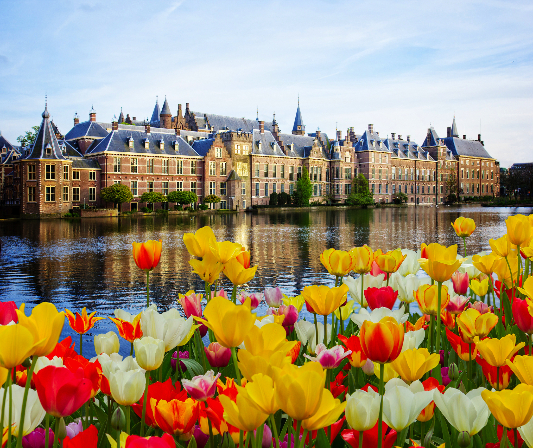 Binnenhof in Den Haag mit Blick auf den See und blühende Tulpen im Vordergrund.