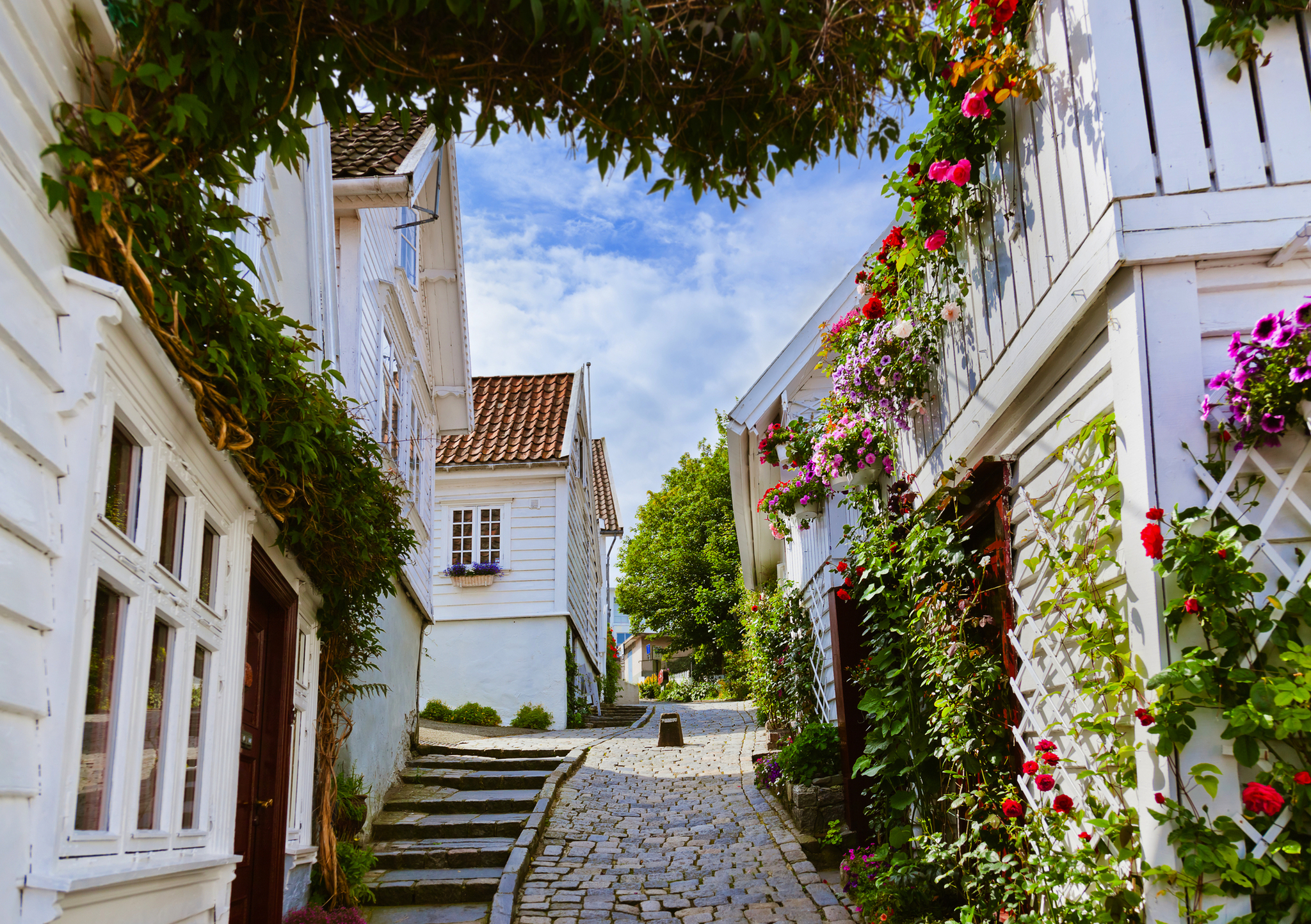 Strasse im alten Zentrum von Stavanger mit typischen weißen Holzhäusern und blühenden Pflanzen.