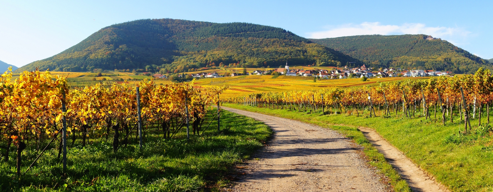 Pfälzer Weinstrasse Bild
