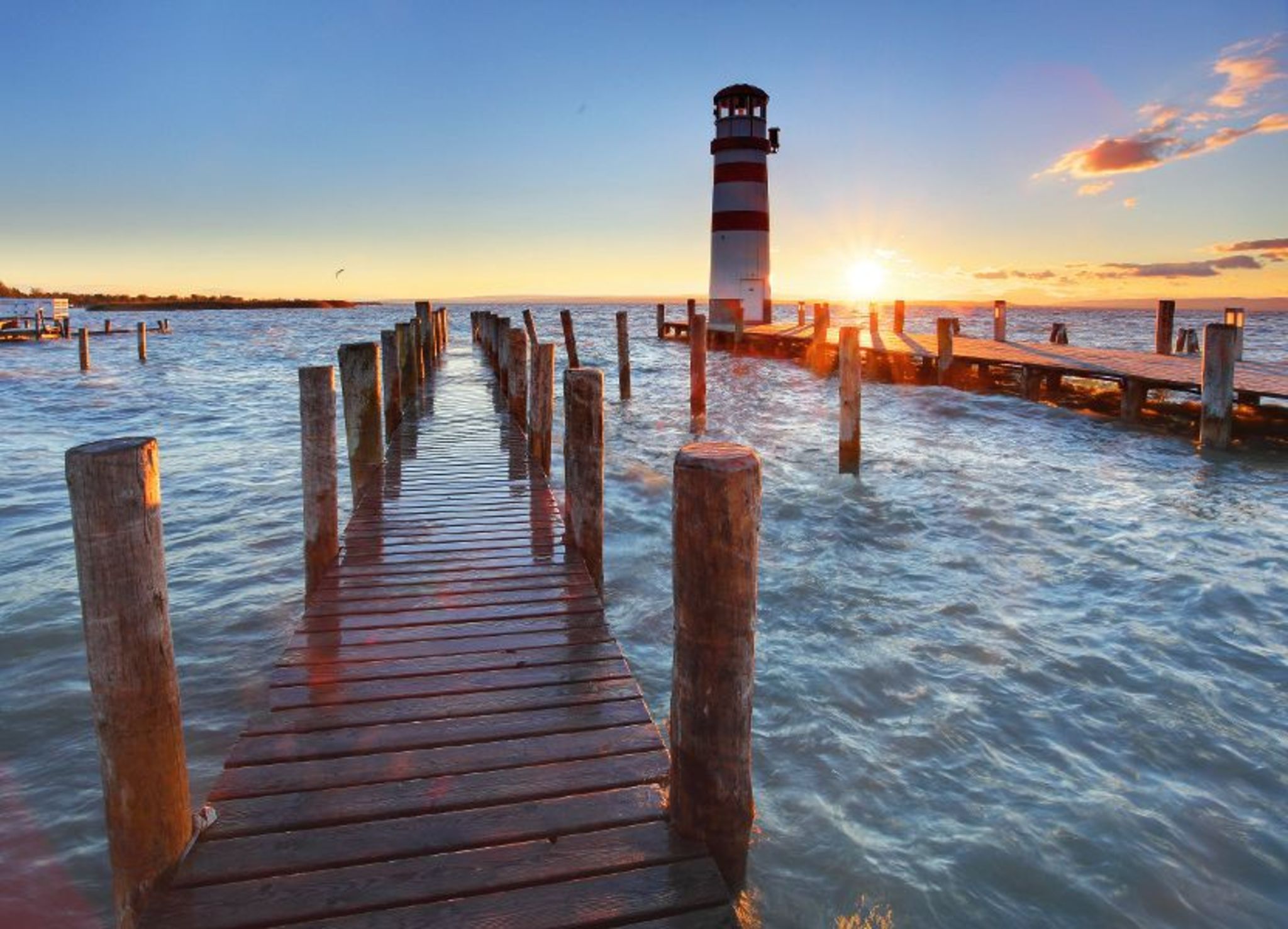 Am Neusiedlersee Bild