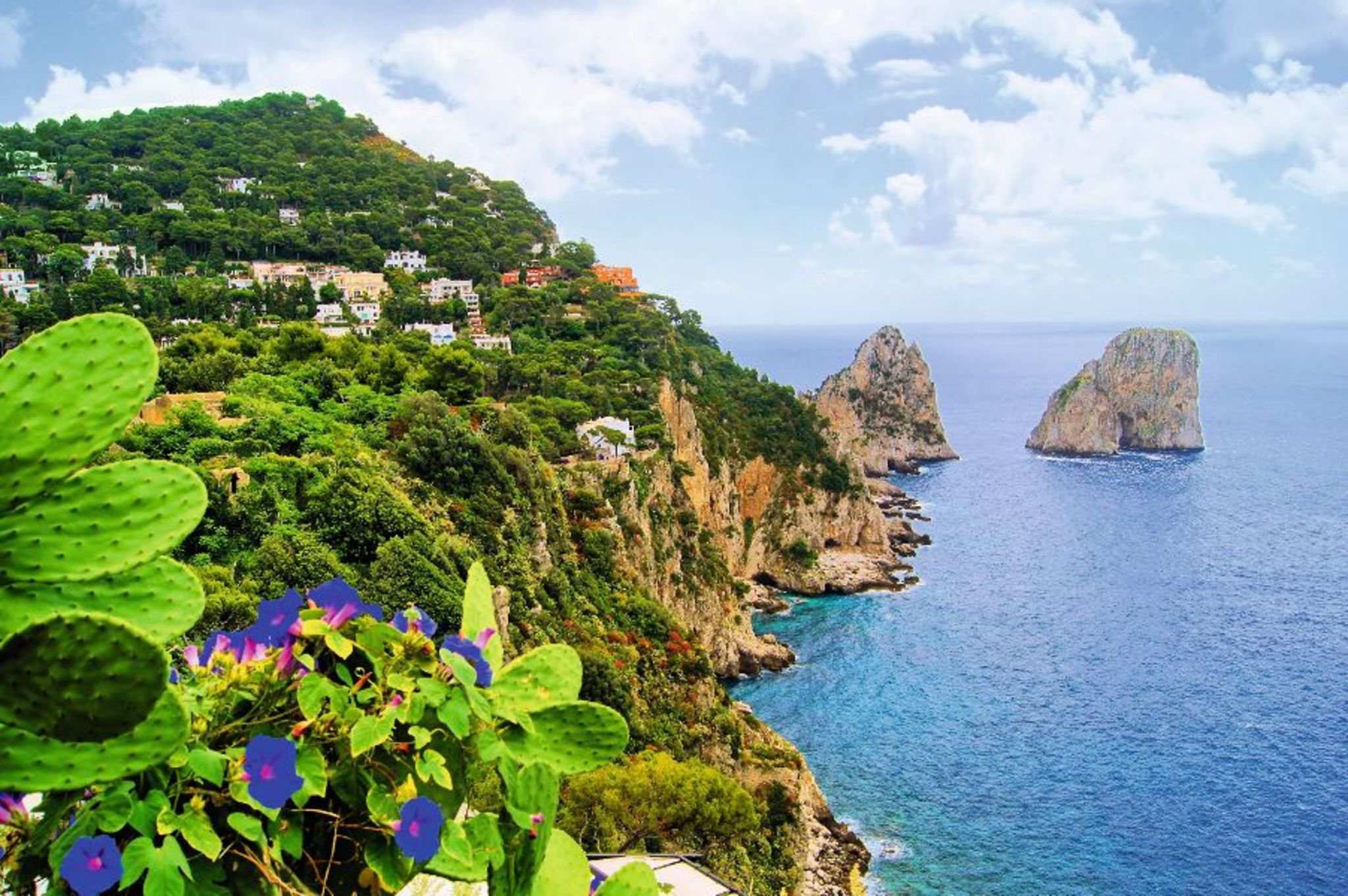 Insel Capri Bild