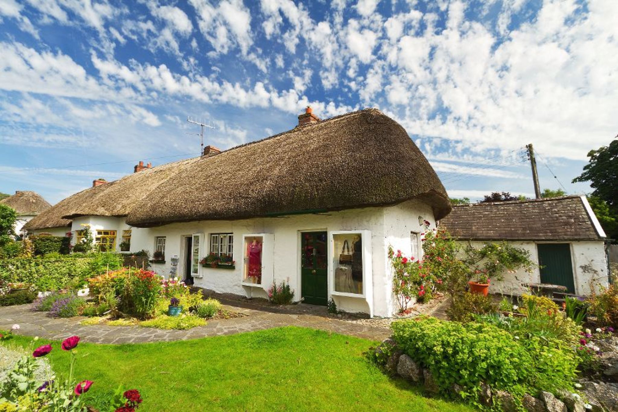 Cottage in Irland Bild