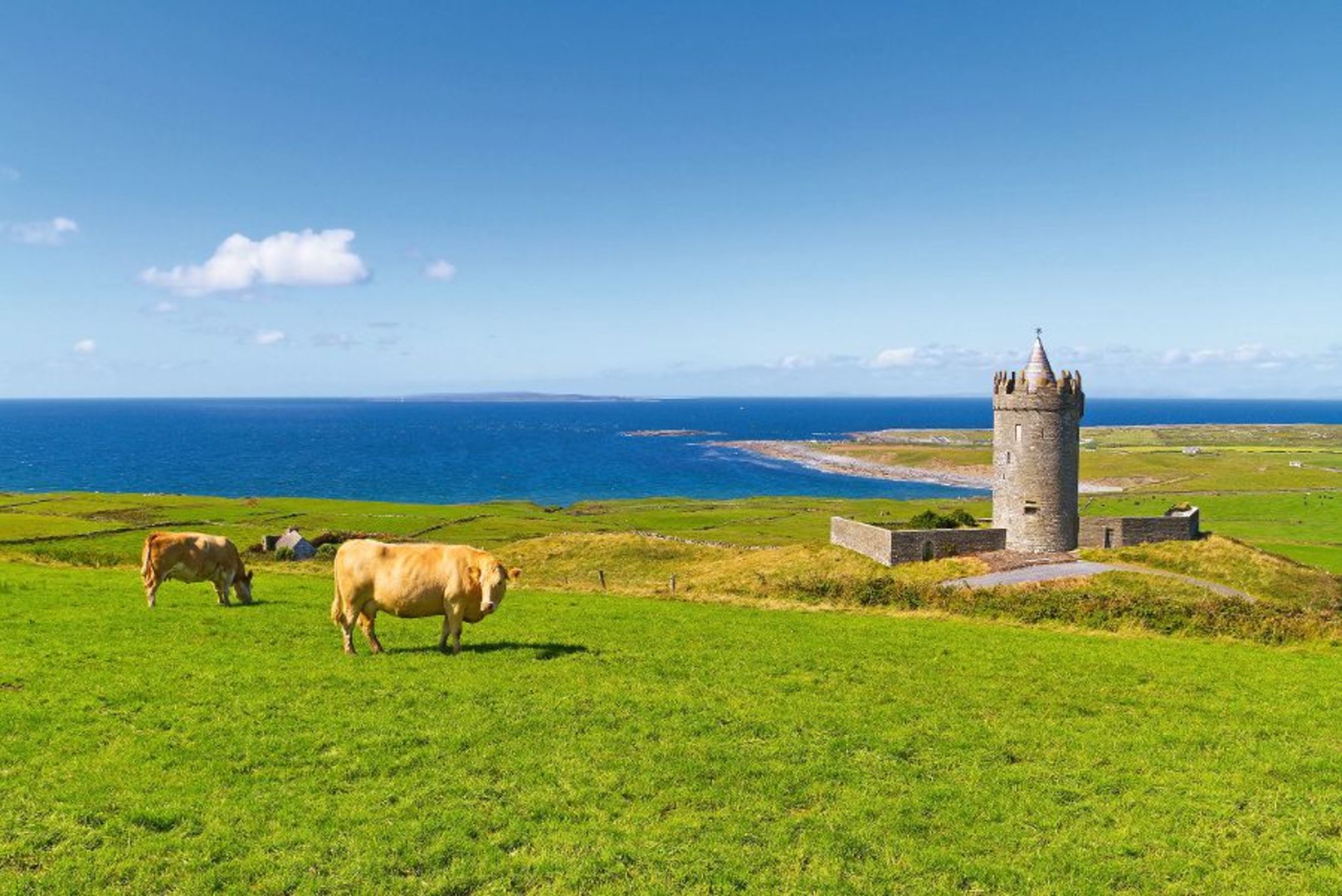 Irische Westküste Bild