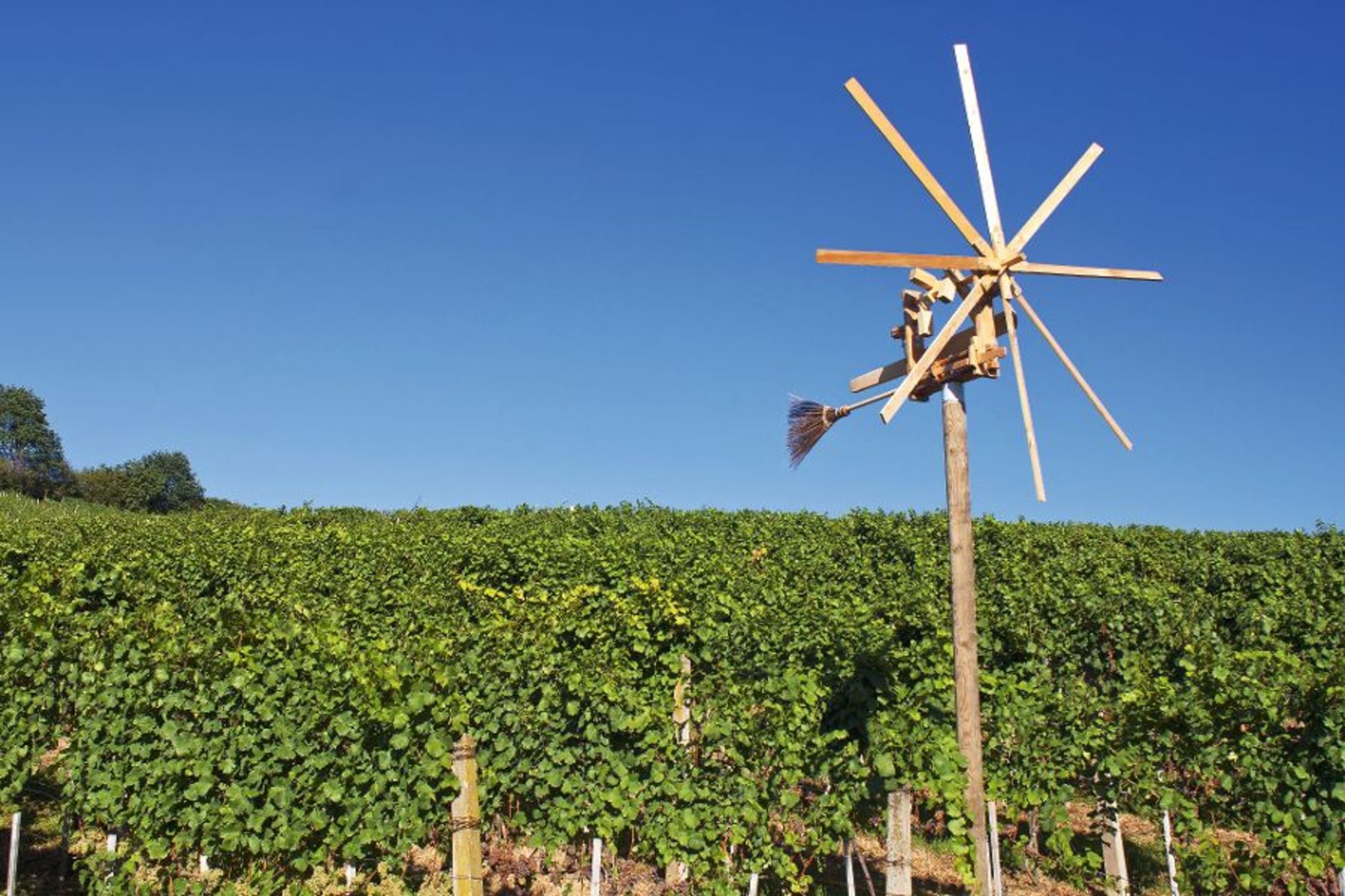 Weinberg und Klapotetz Bild