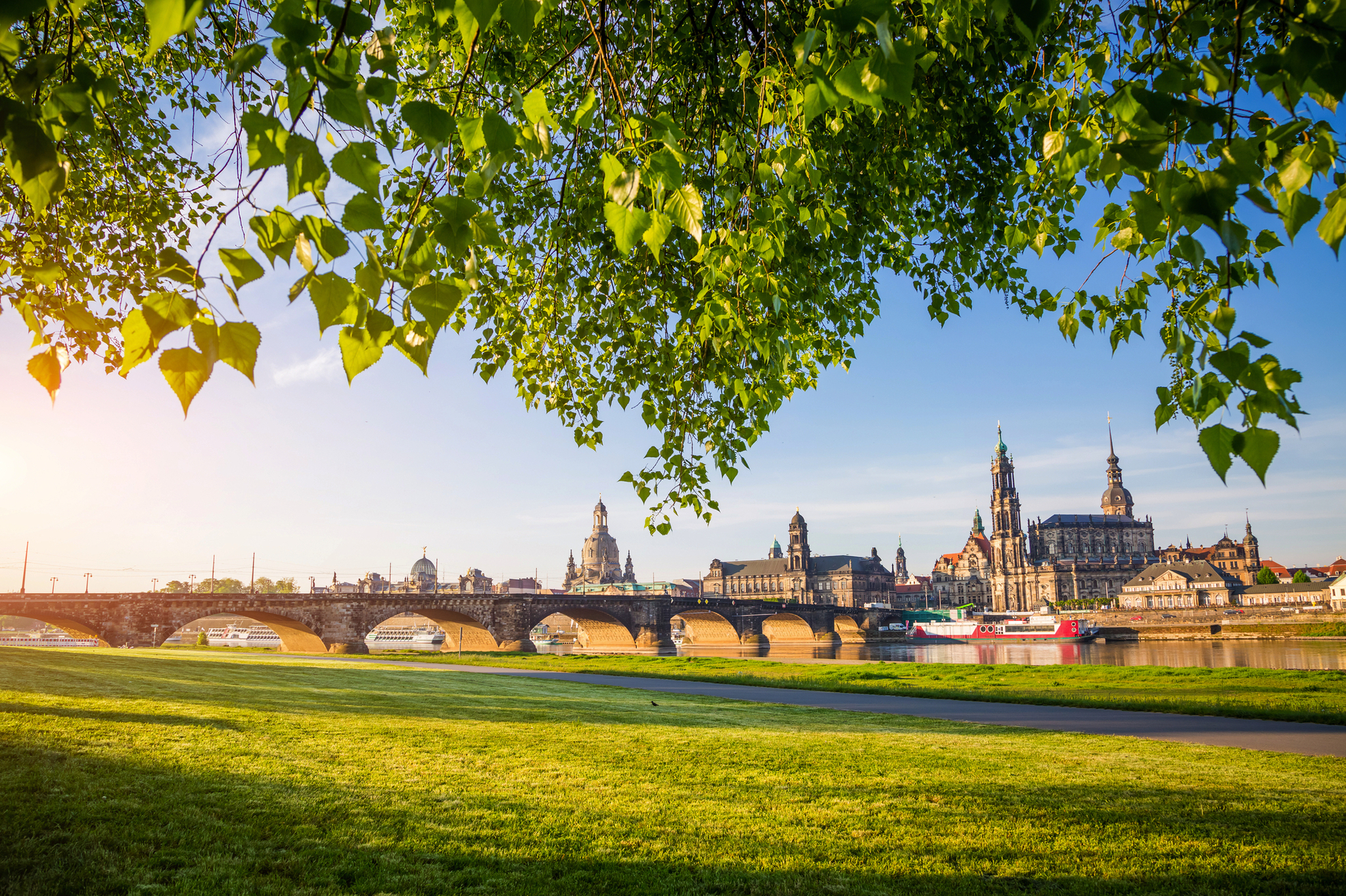 Stadtansicht von Dresden mit der Elbe und grüner Uferwiese