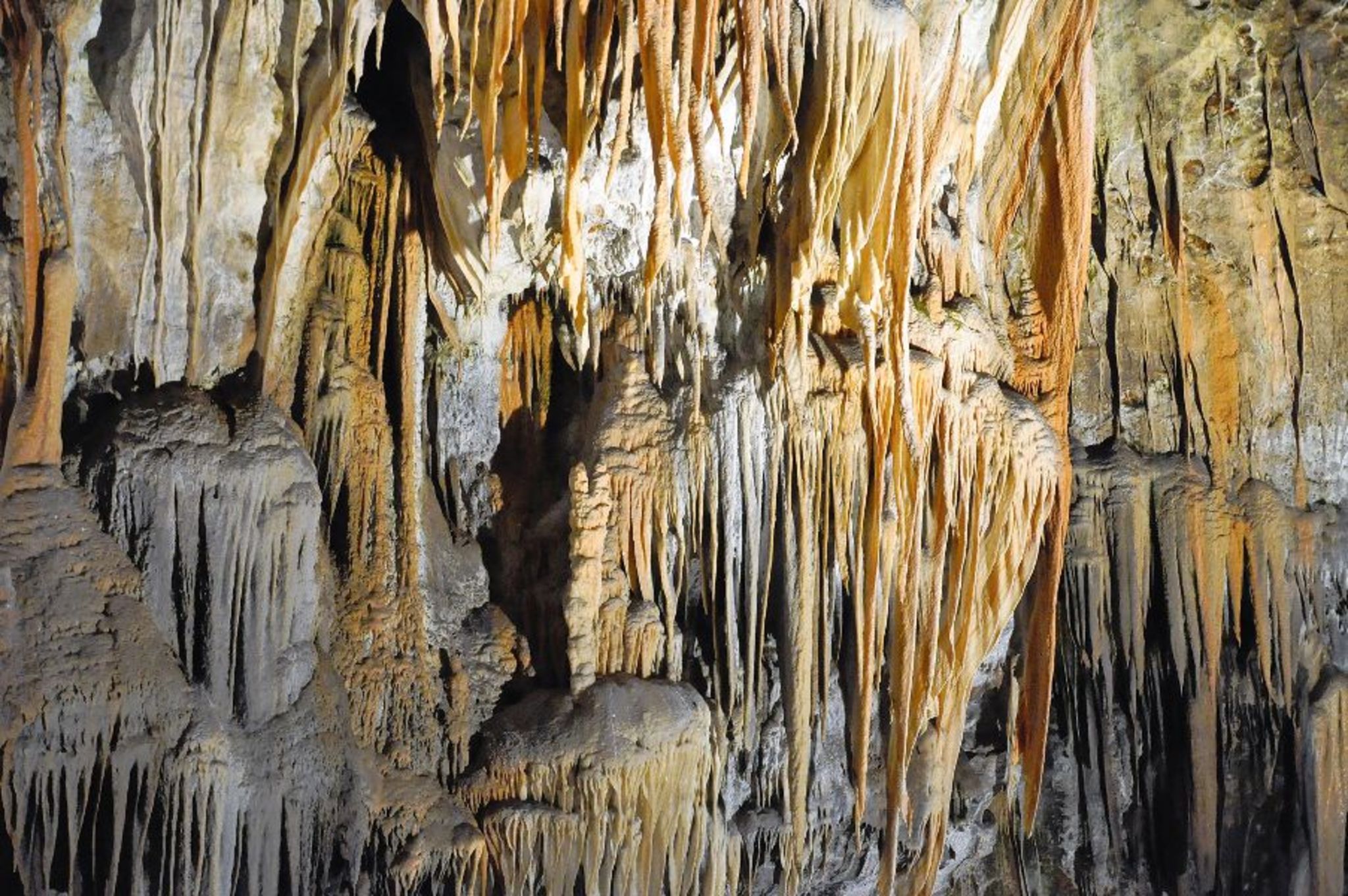 Postojna, imposante Adelsberger Grotten  Bild