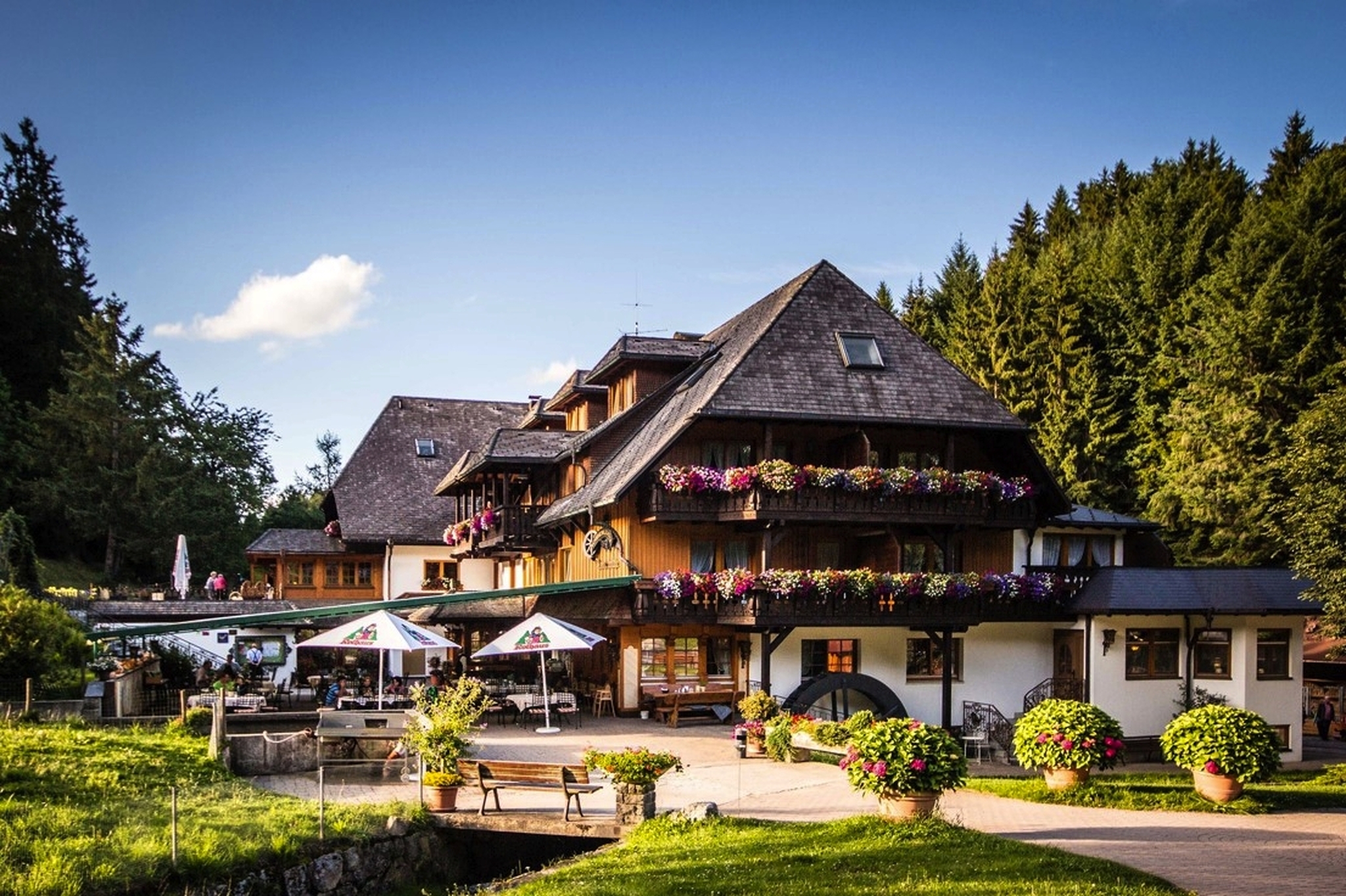 Traditionelle Schwarzwälder Küche Bild