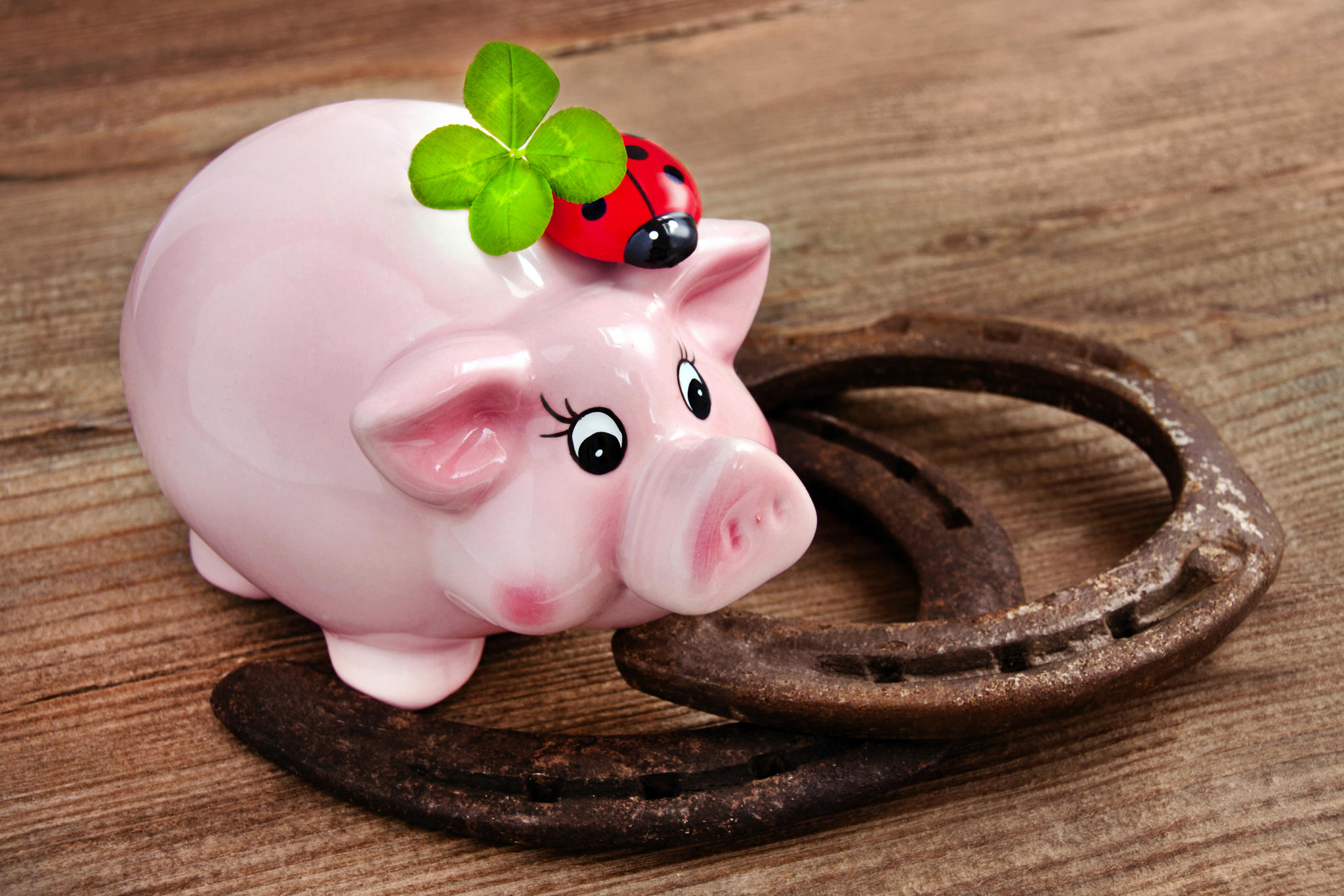 Die EUROBUS-Glücksreise Bild