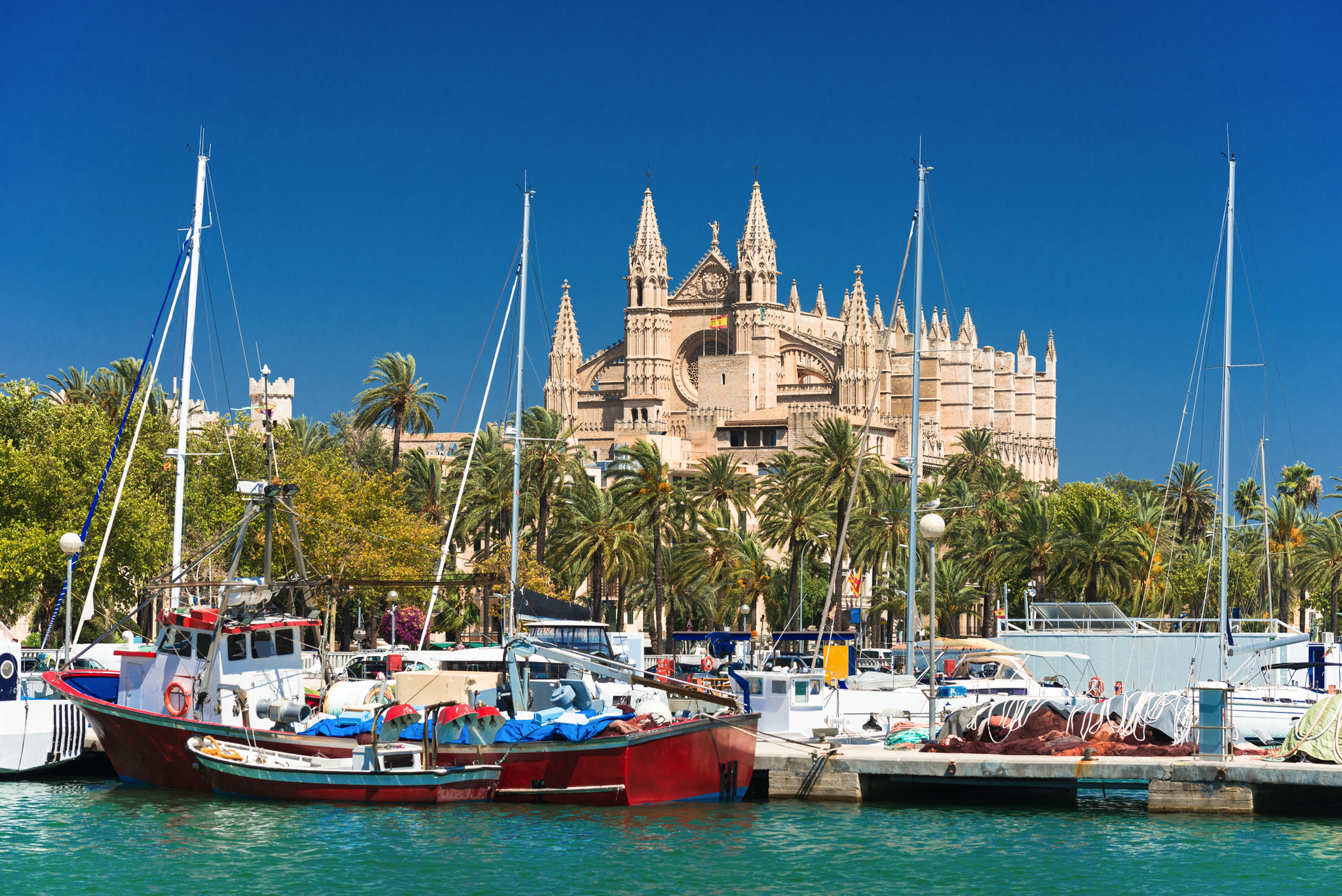 Boote im Hafen vor einer Kathedrale und Palmen im Hintergrund