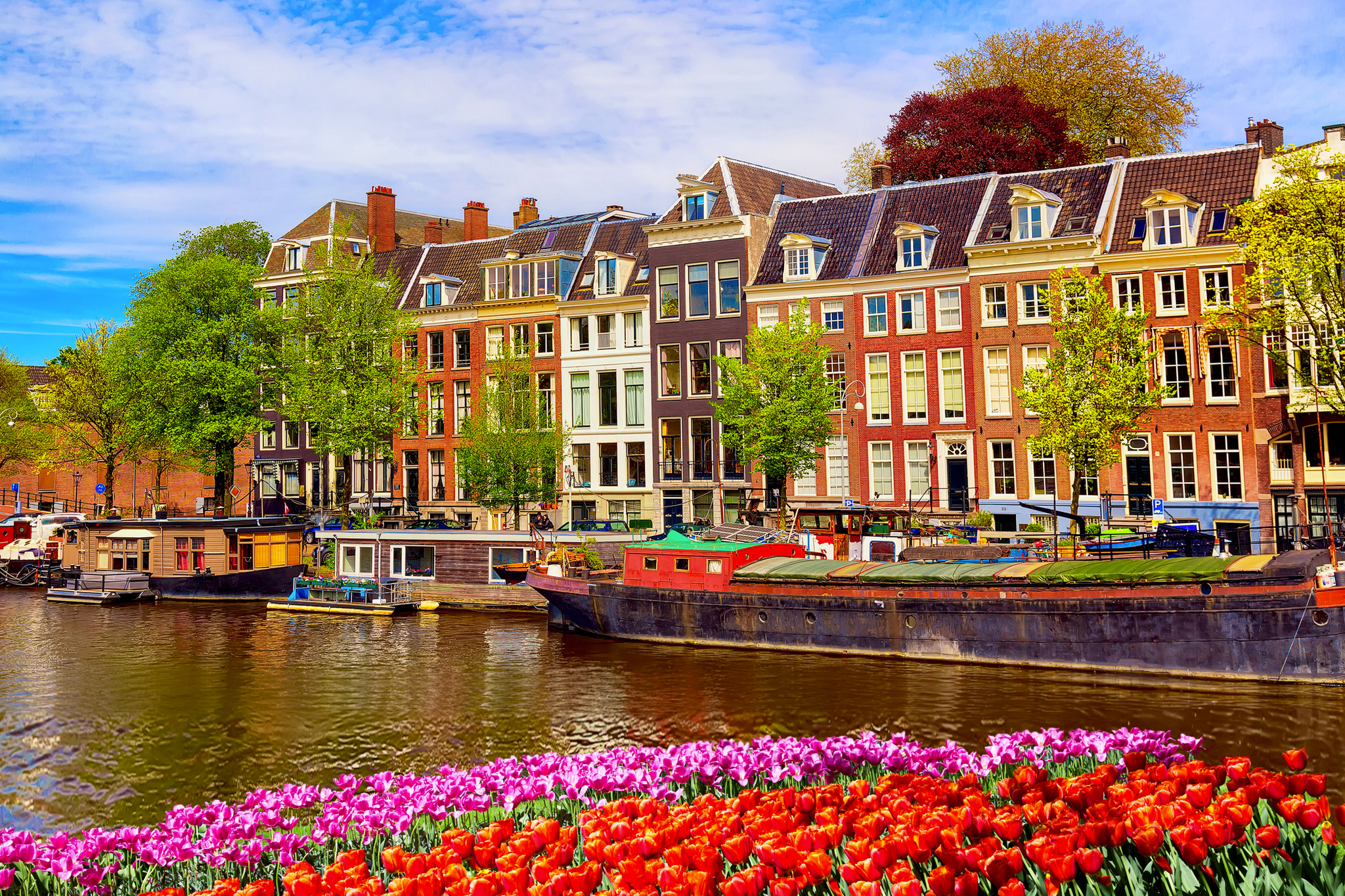 Kanalanlage in Amsterdam mit bunten Blumen und traditionellen Häusern im Hintergrund.
