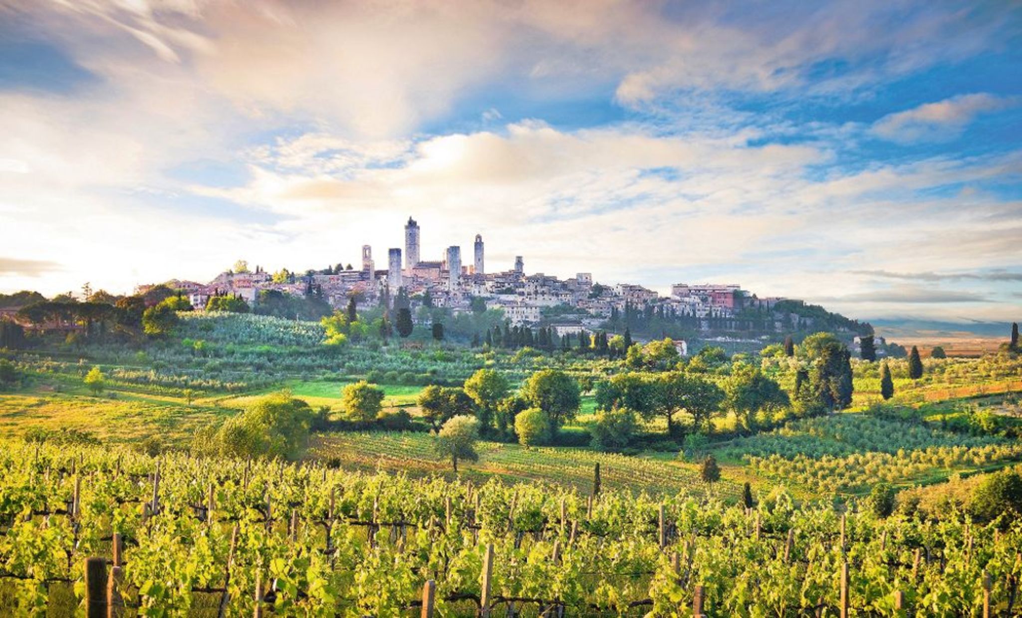 San Gimignano Bild