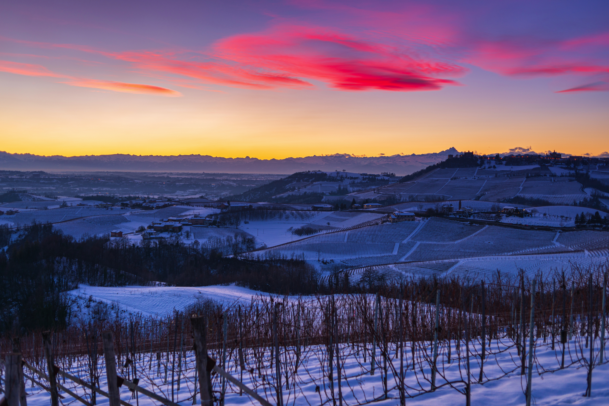 Barolo Weinberge Bild