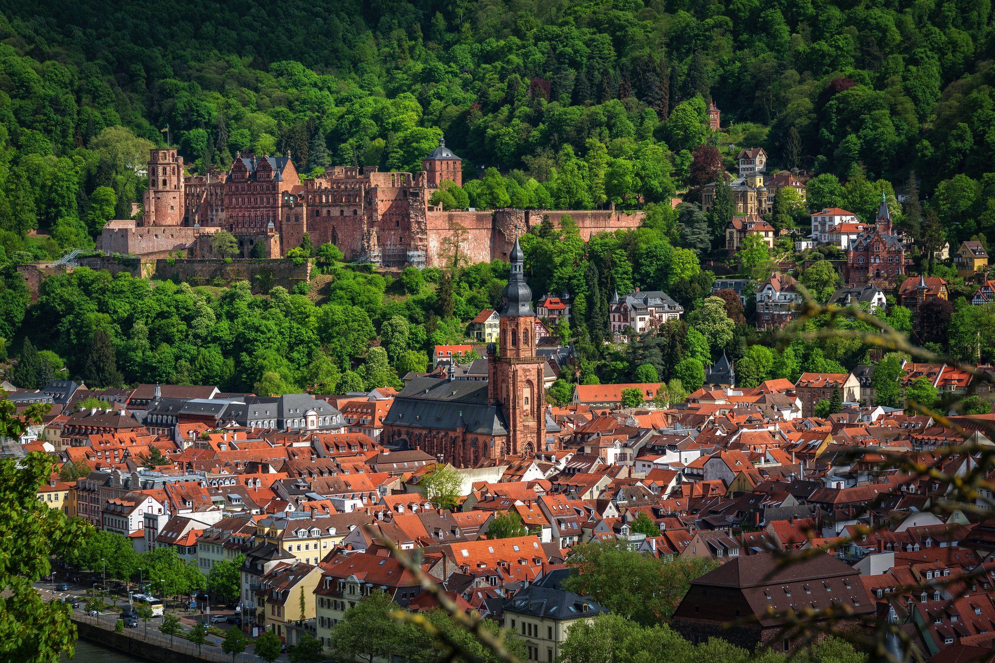 Ansicht von Heidelberg mit Schloss und Altstadt im Frühling.