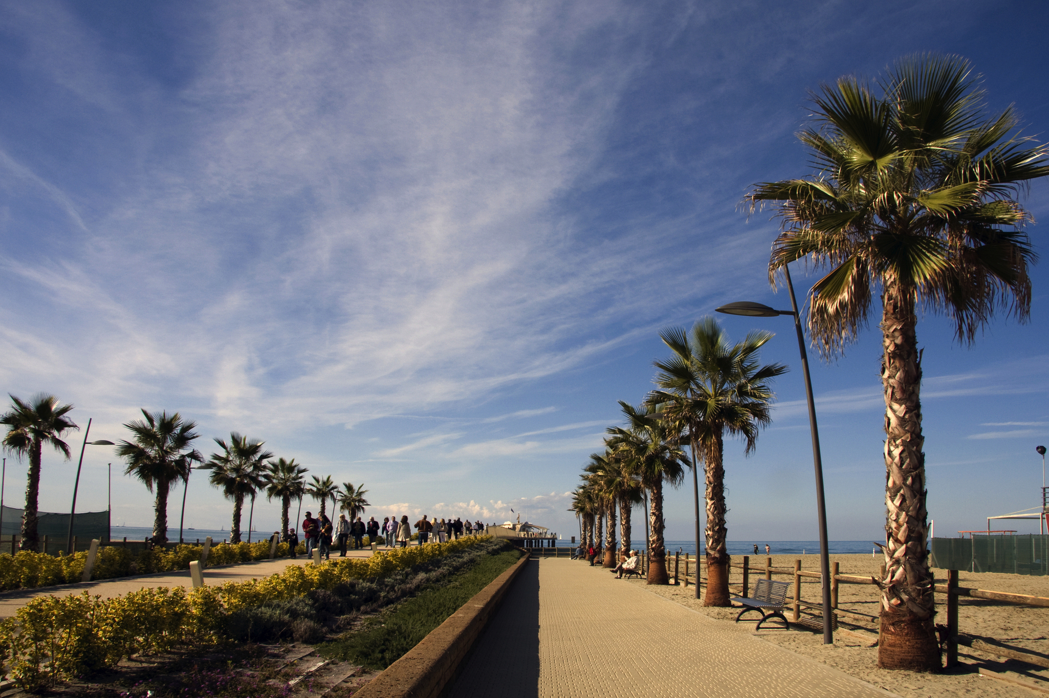 Palmen gesäumter Weg entlang eines Strandes unter blauem Himmel.