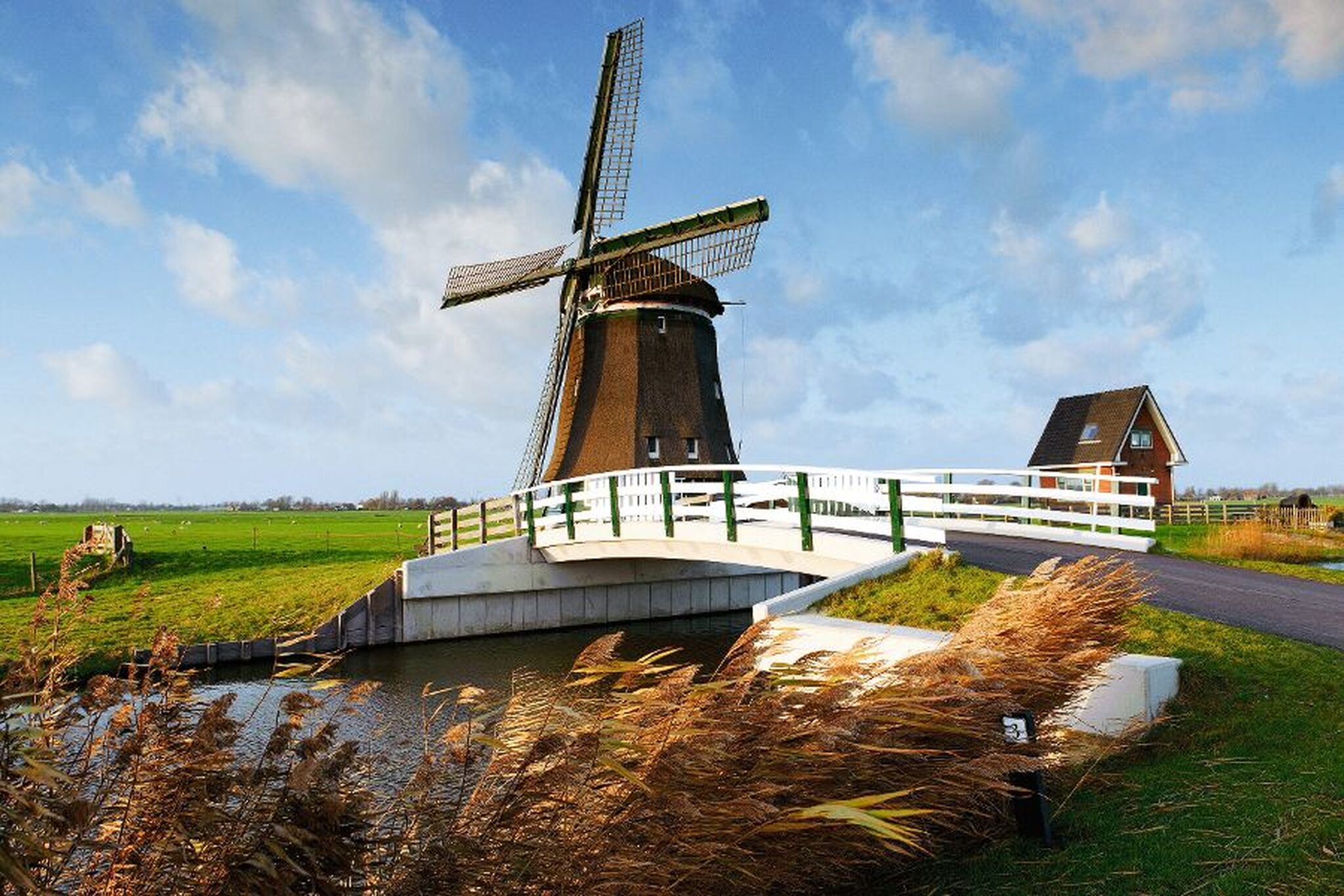 Windmühle am Fluss mit Brücke und blühenden Feldern im Hintergrund.