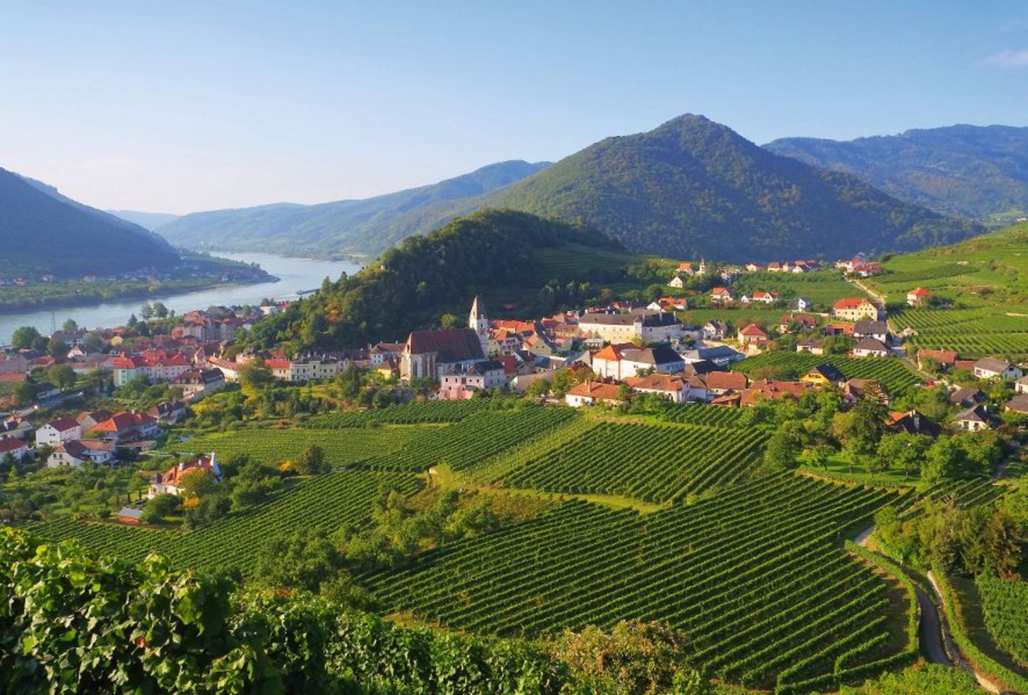 Spitz in der Wachau Bild