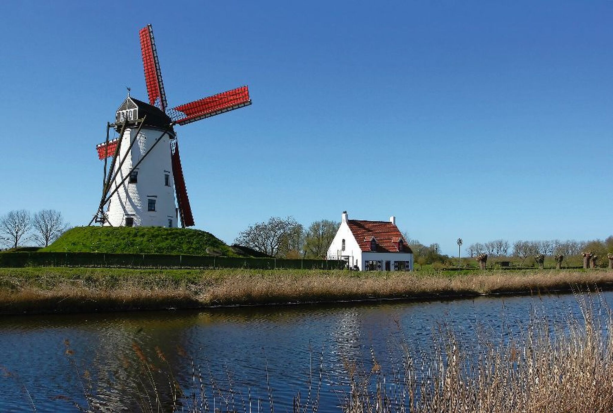 Windmühle mit roten Flügeln neben einem kleinen weißen Haus an einem sonnigen Tag.