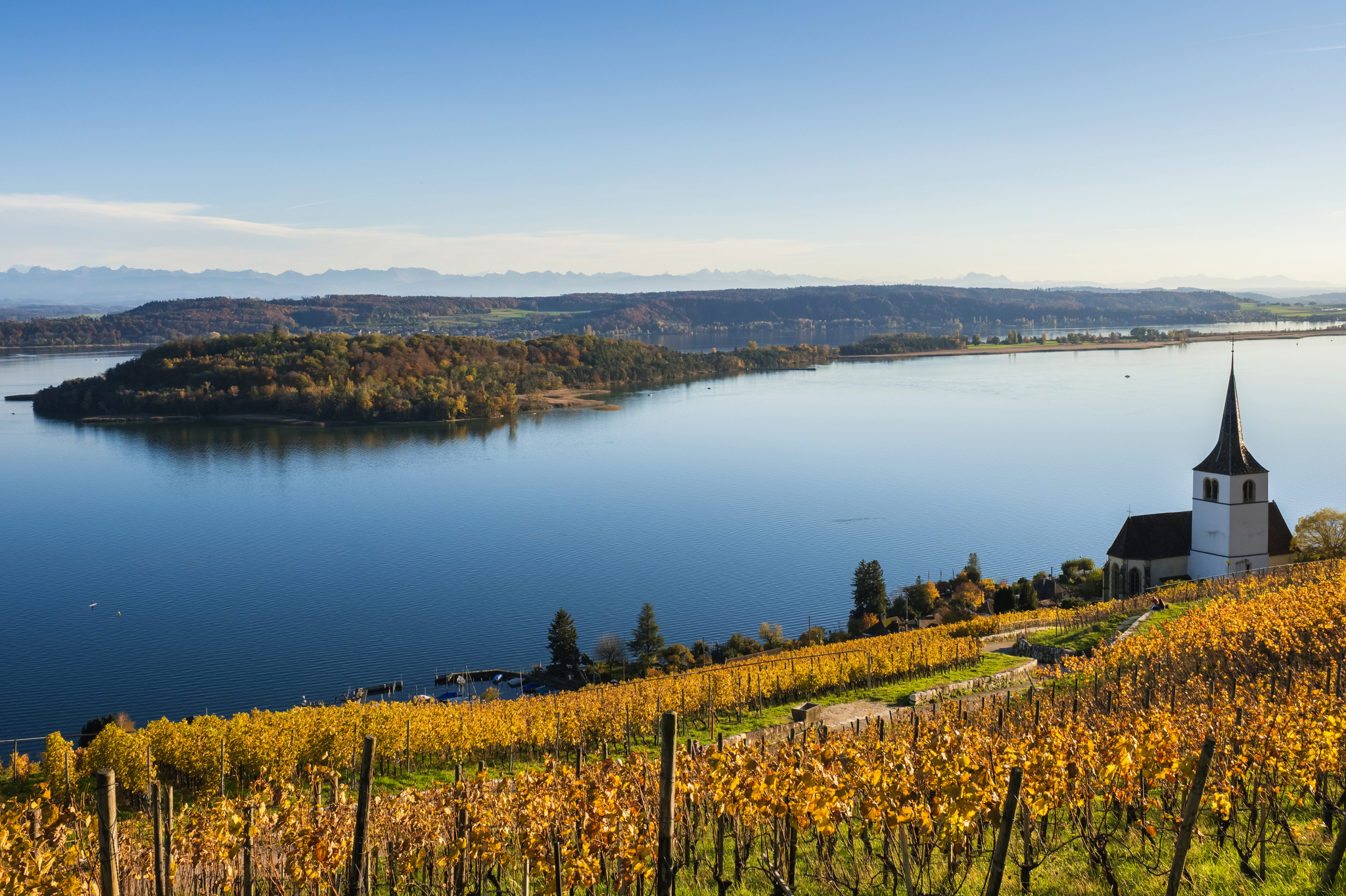 Herbstgenuss auf dem Bielersee Bild