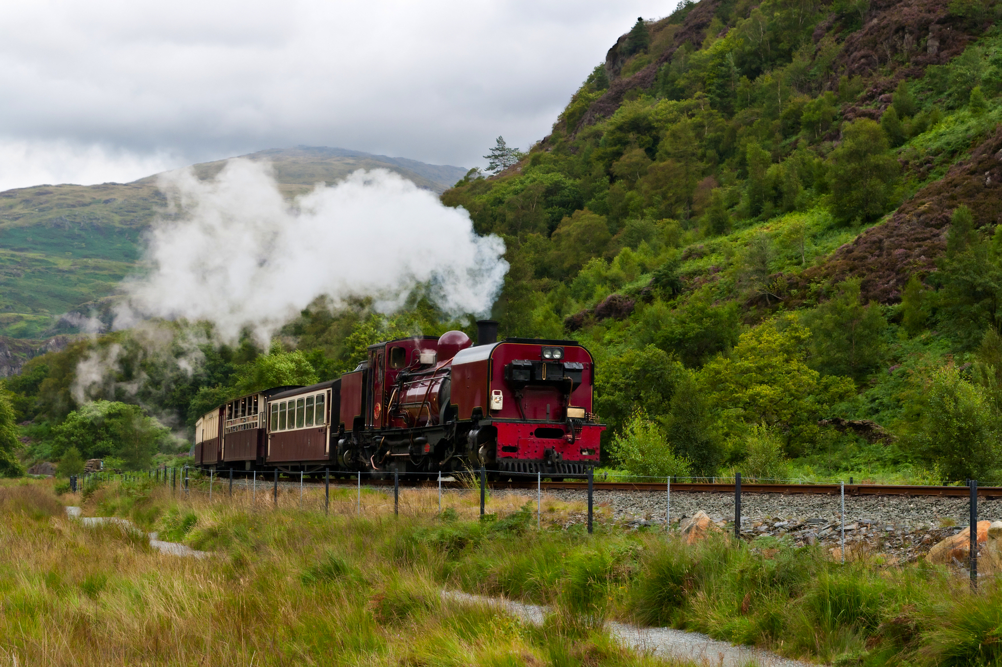 Rote Dampflokomotive fährt durch grüne Berglandschaft.