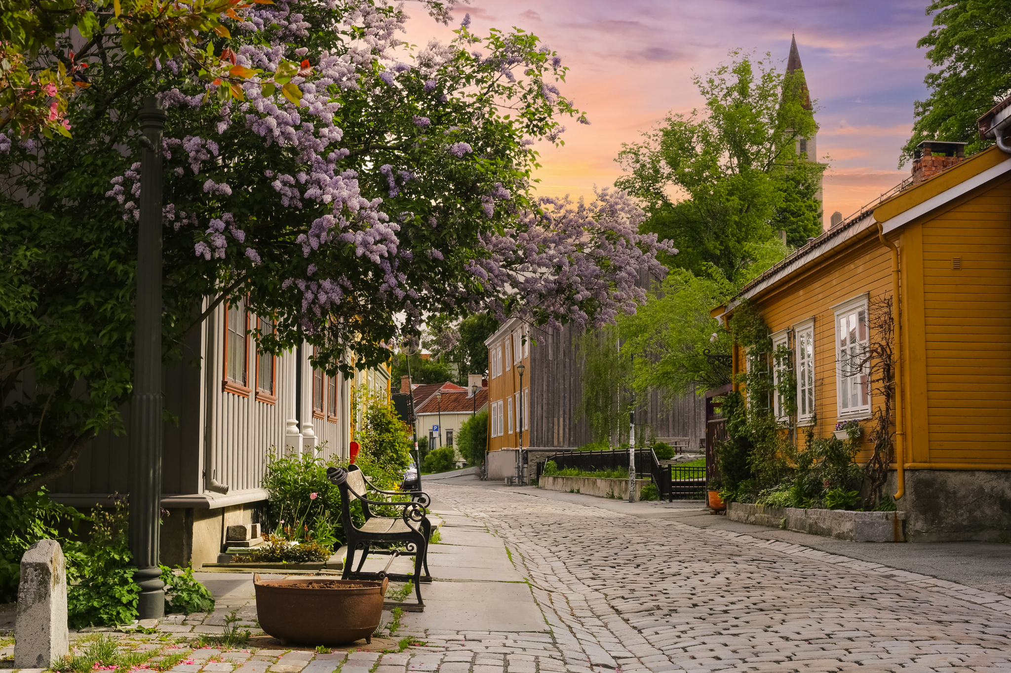 Kopfsteinpflasterstraße mit bunten Holzhäusern und blühenden Bäumen im Sonnenuntergang.