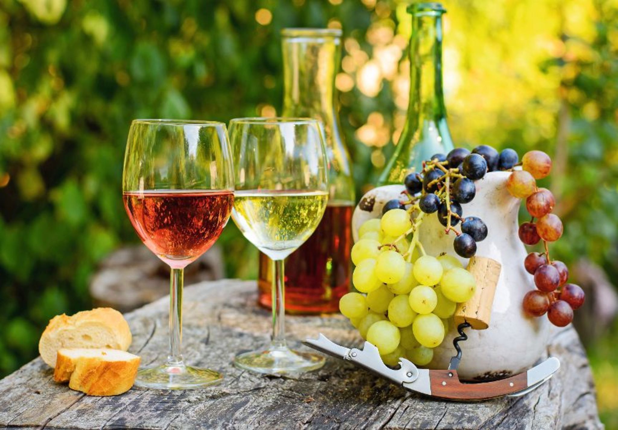 Weinverkostung  Bild