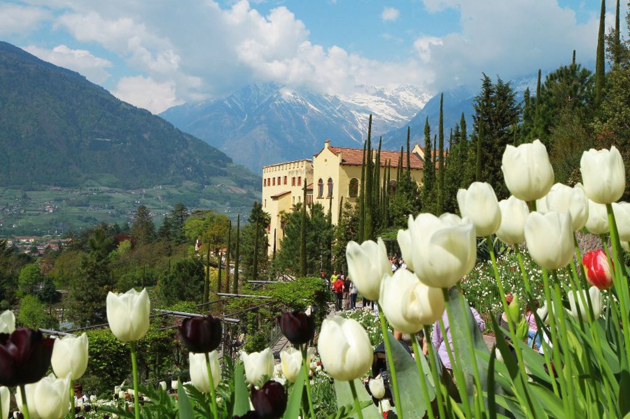Schloss Trauttmansdorff Bild