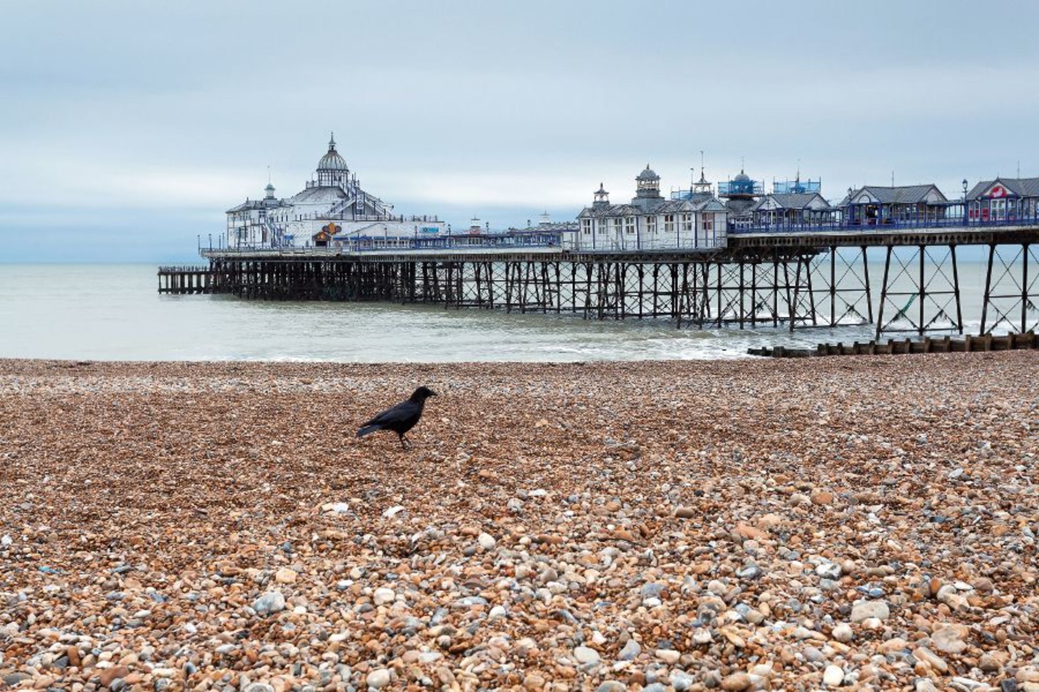Eastbourne Pier Bild