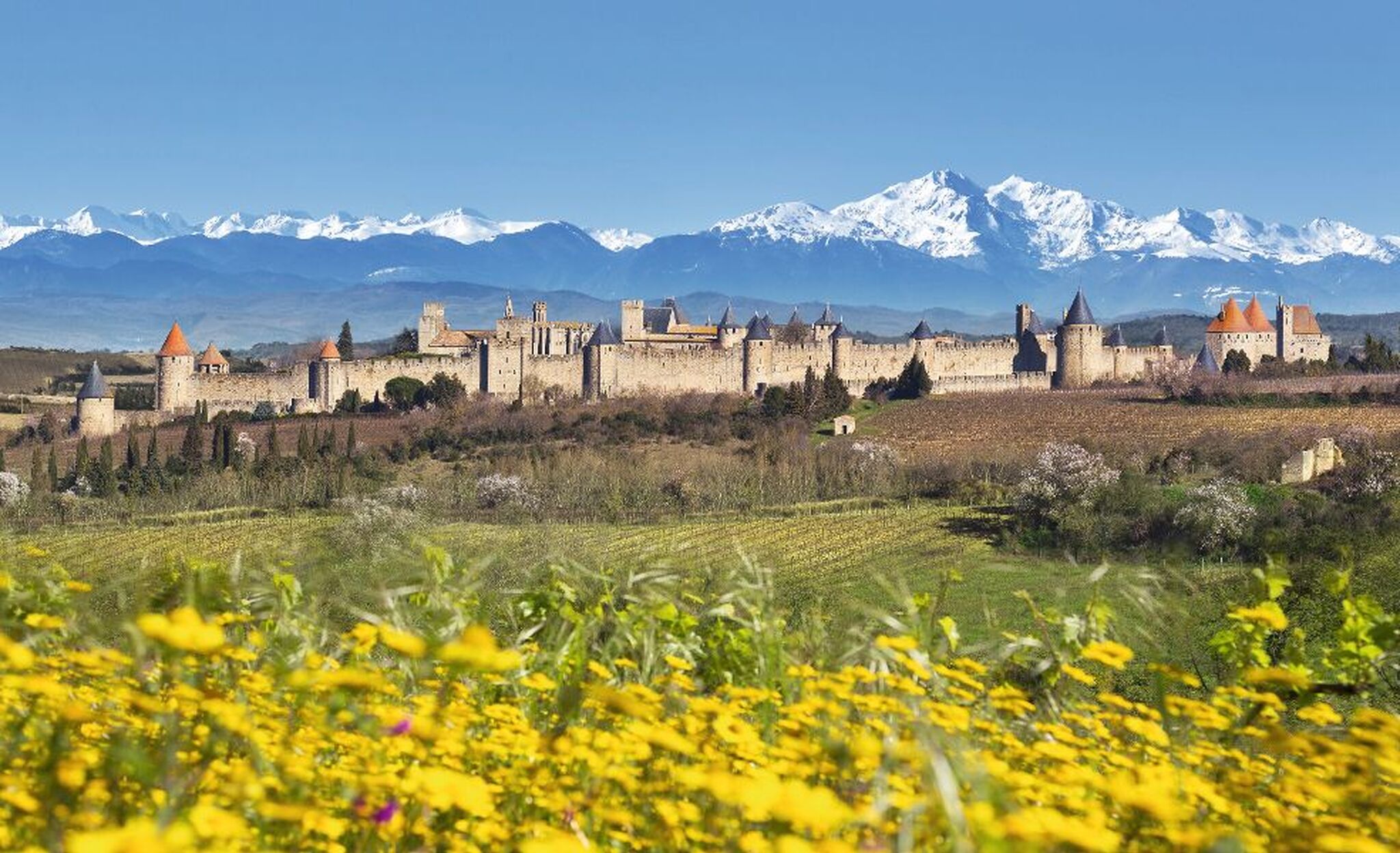 Burg mit roten Türmen vor schneebedeckten Bergen und gelben Blumen im Vordergrund.