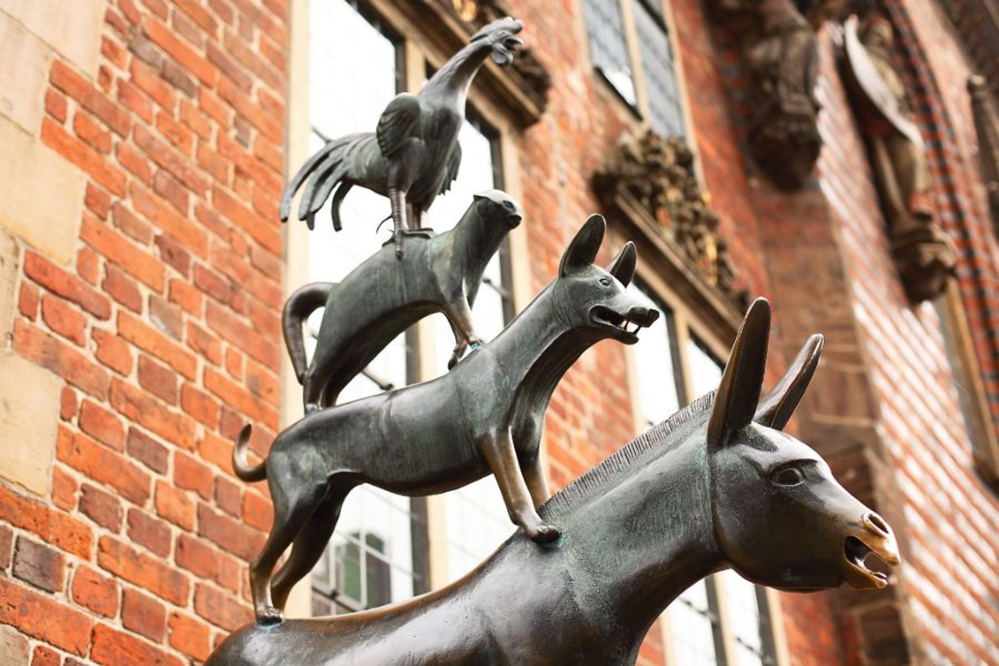 Bremer Stadtmusikanten Bild