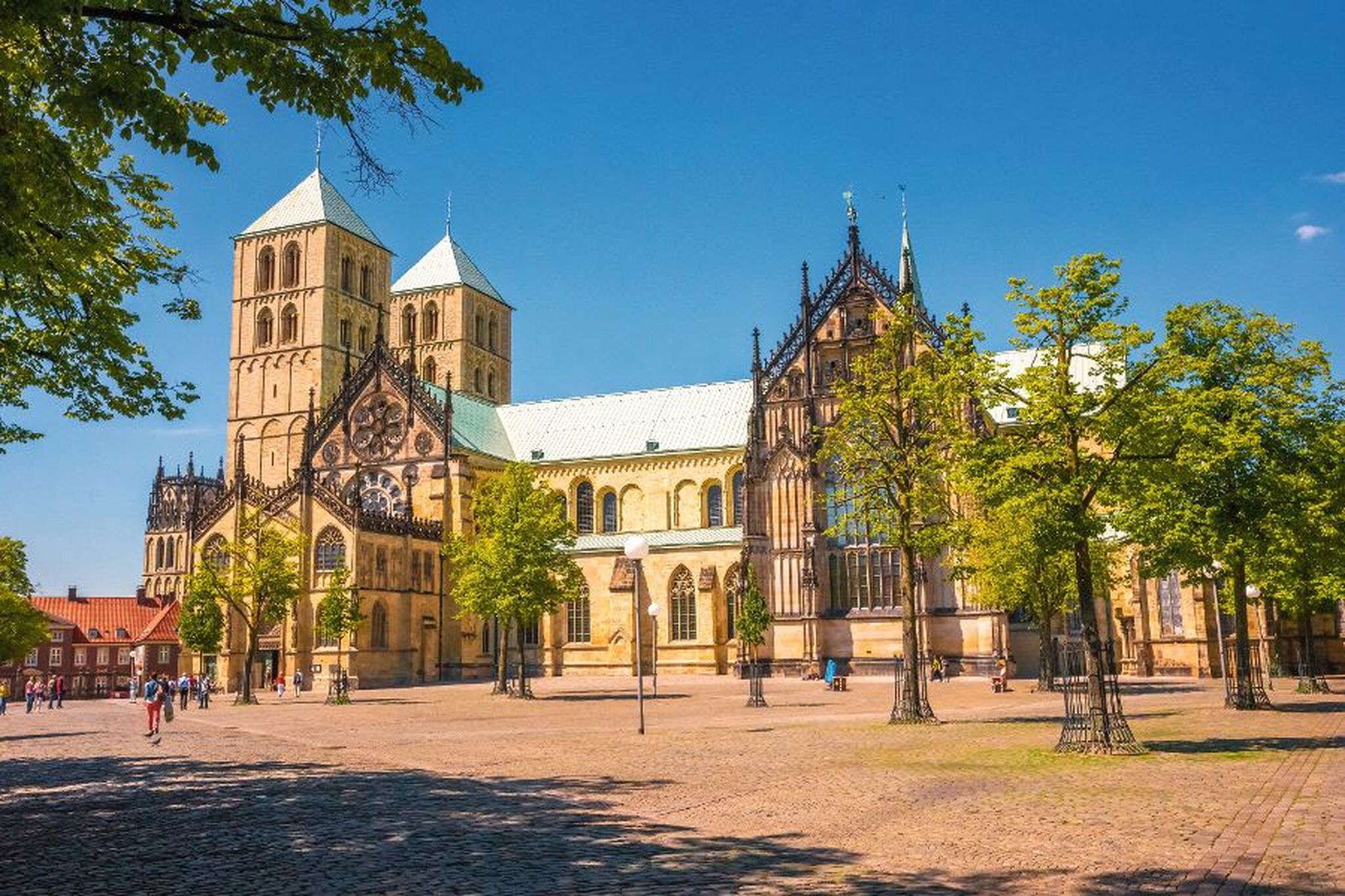 Historische Kathedrale mit zwei Türmen und umliegenden Bäumen an einem sonnigen Tag.