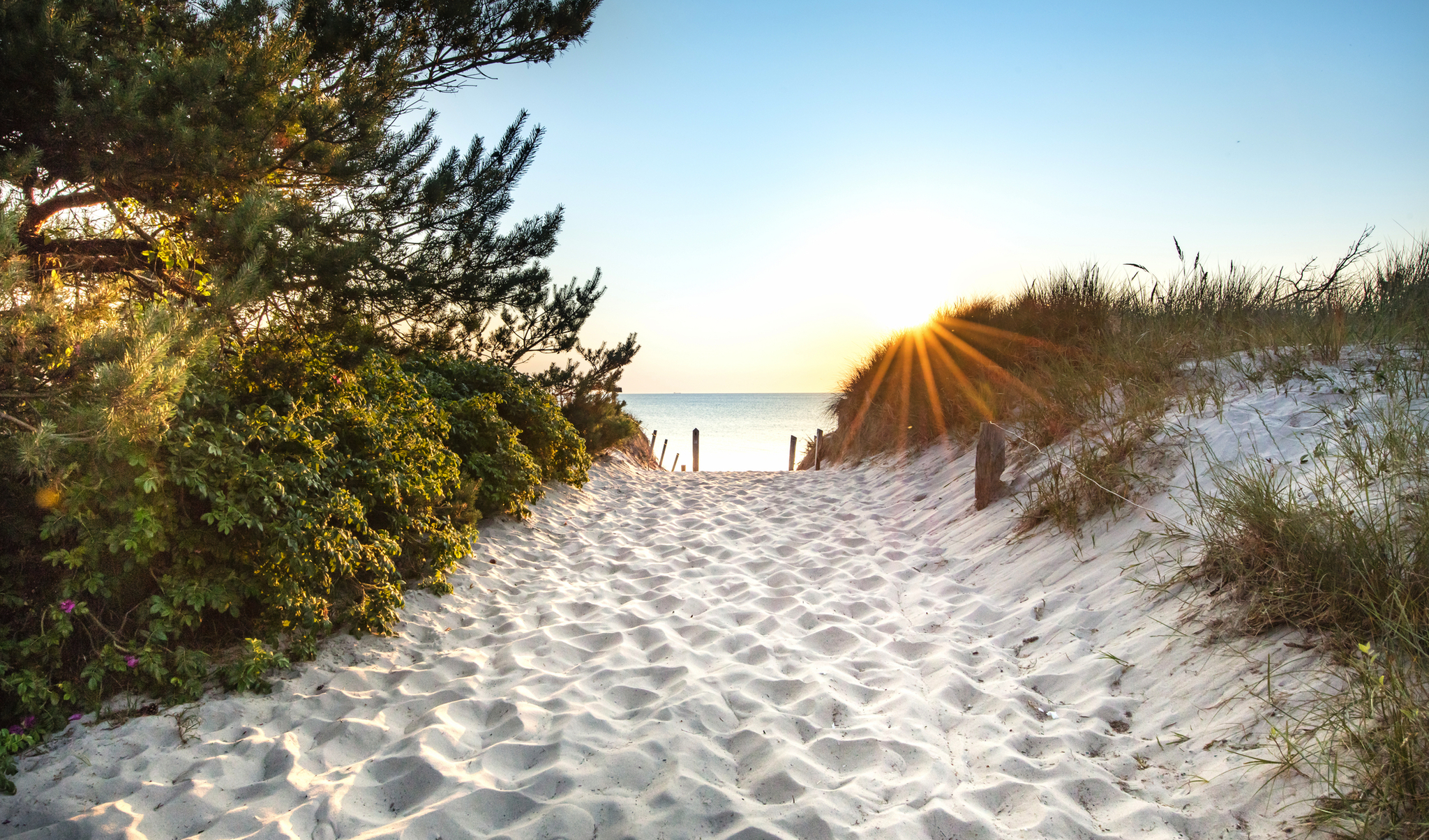 Sandweg durch Dünen zum Strand bei Sonnenaufgang.