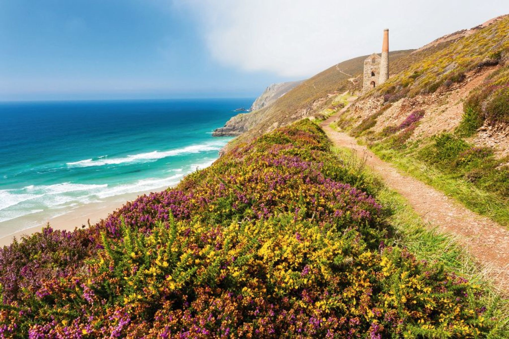 Küstenweg in Cornwall Bild