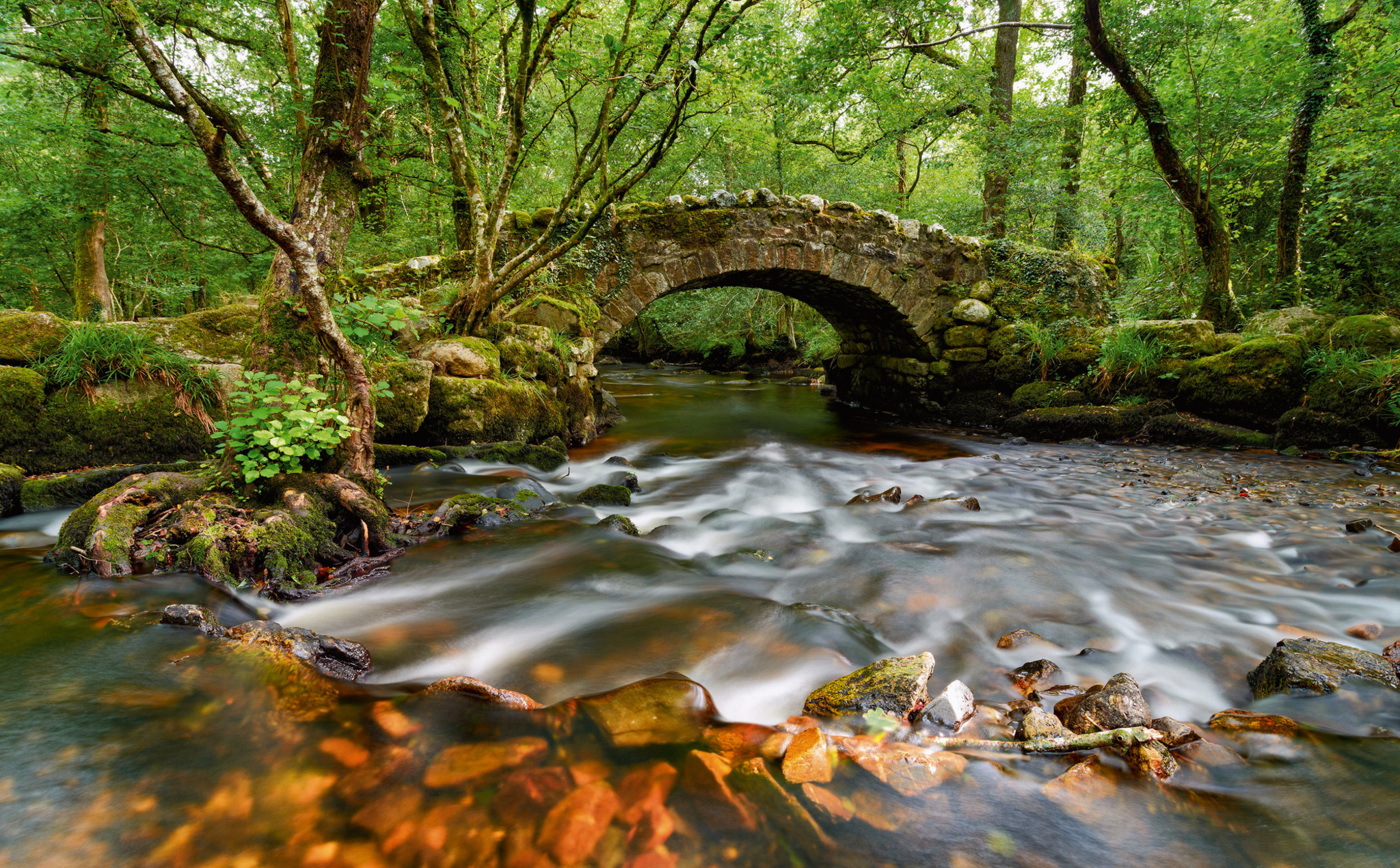 Dartmoor-Brücke Bild