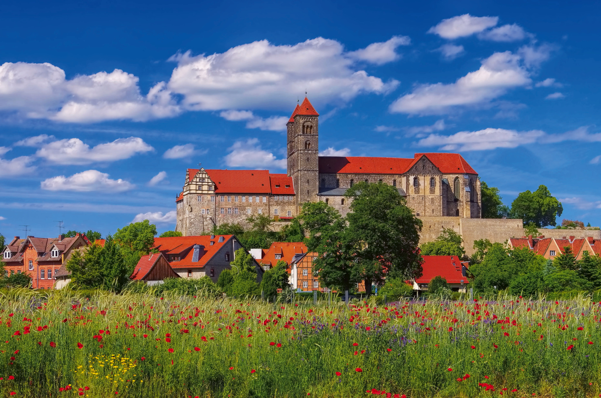 Deluxe Wanderreise L  neburger Heide Harzer Bergland EUROBUS