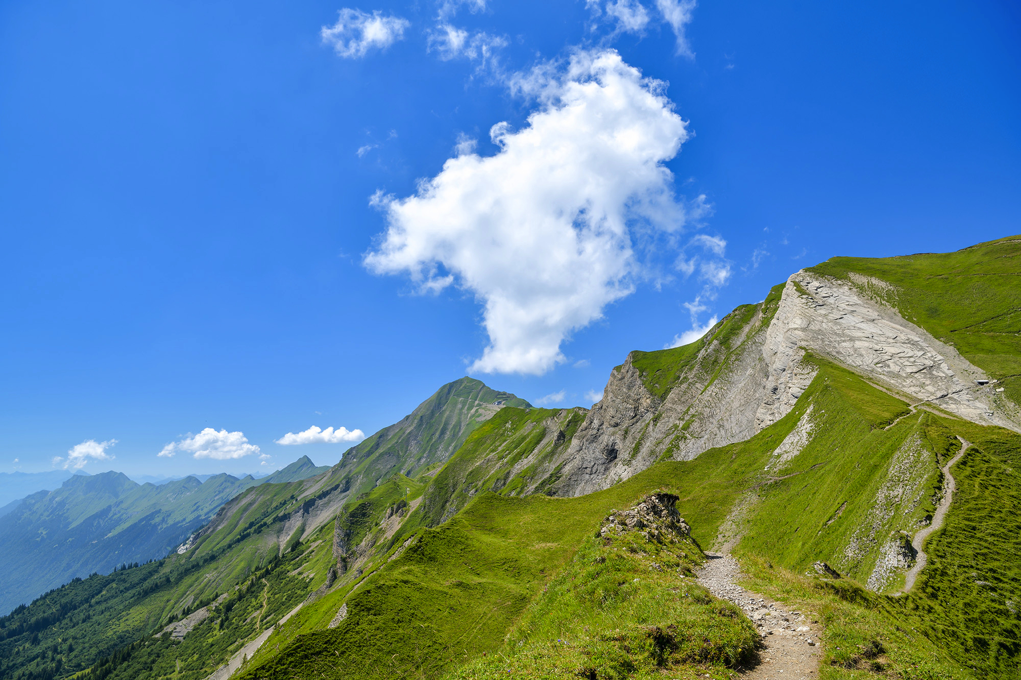 Brienzer Rothorn Bild
