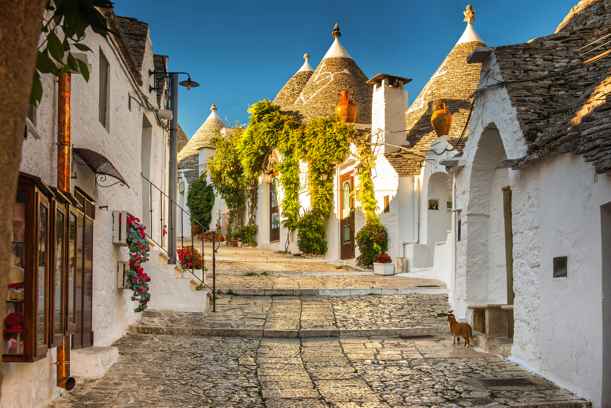 Straße mit traditionellen Trulli-Häusern und Pflanzen in Alberobello, Italien.