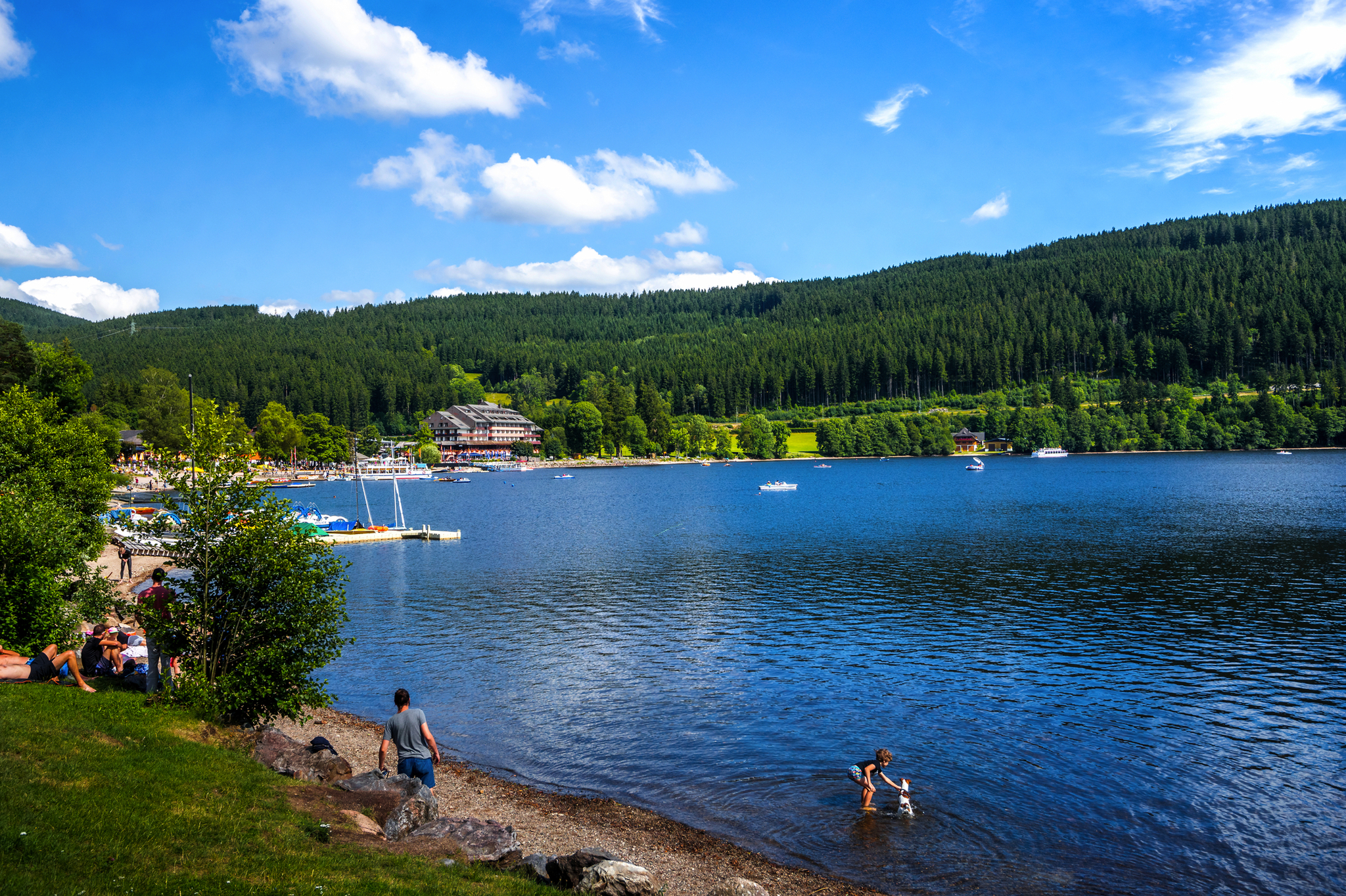 See mit Badegästen, Wald und Booten unter blauem Himmel.