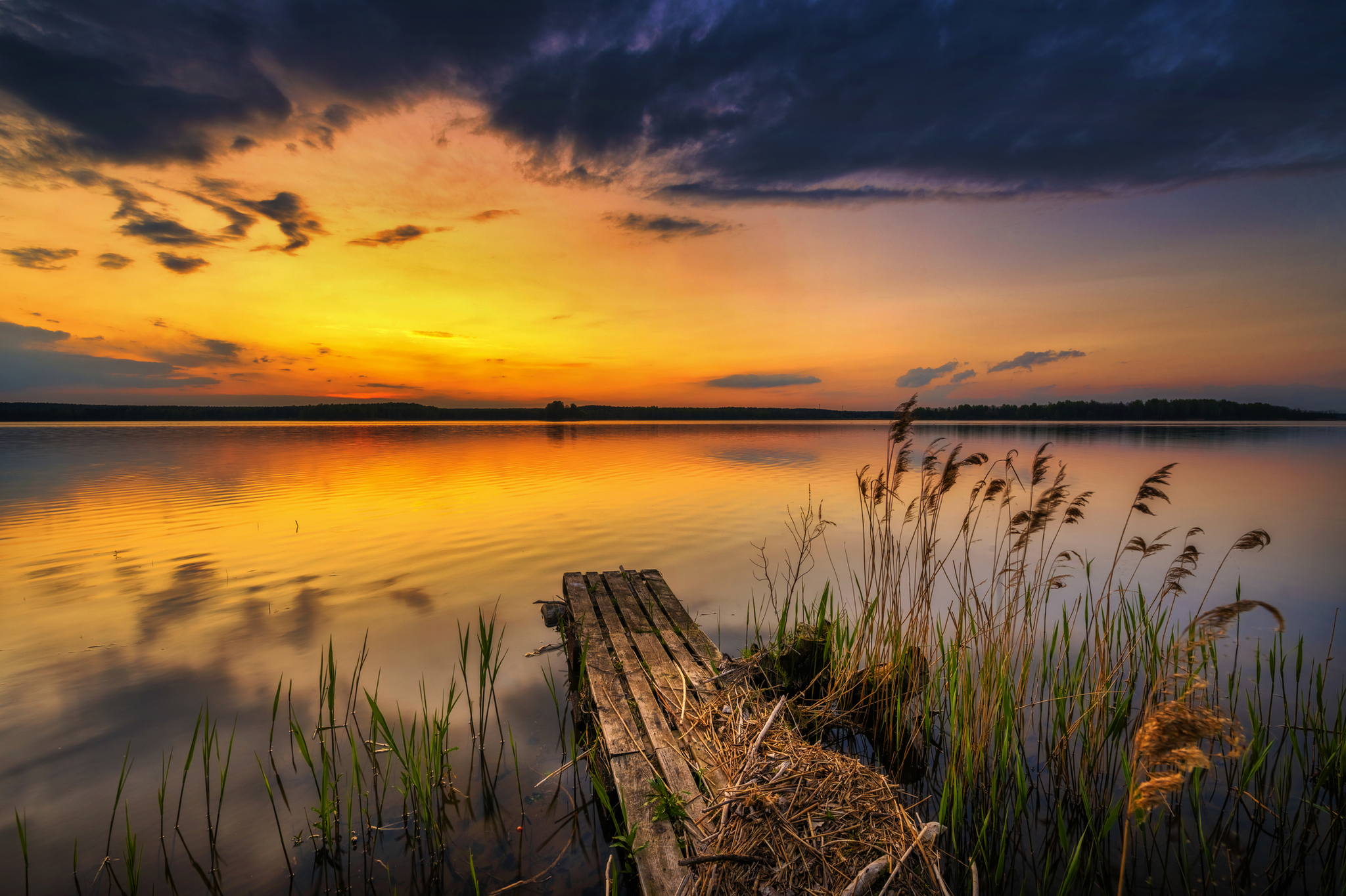 Sonnenuntergang über einem See mit Steg und Schilf im Vordergrund.