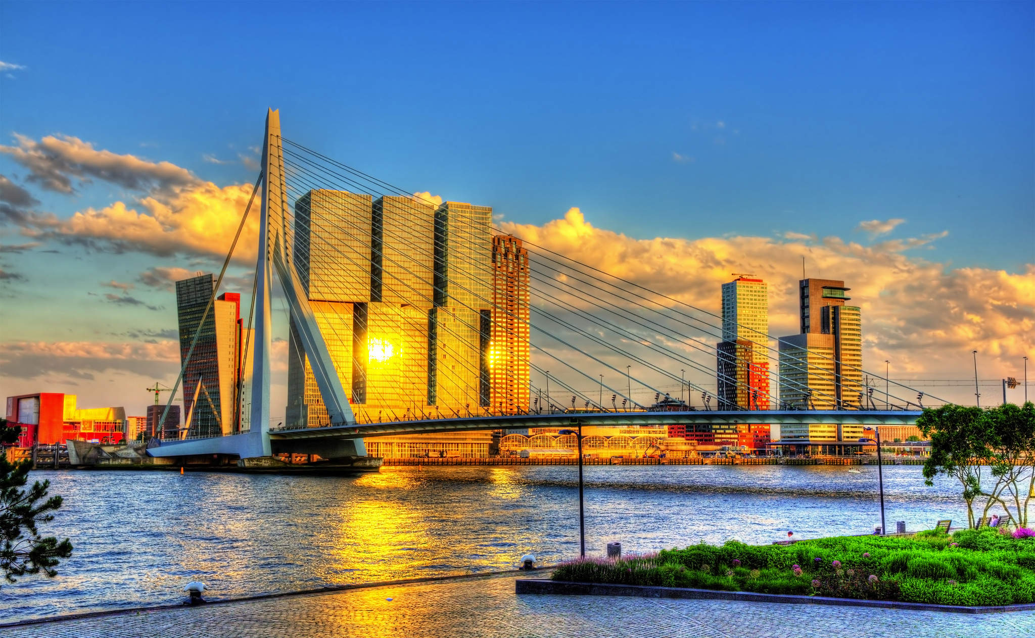 Skyline von Rotterdam bei Sonnenuntergang mit Brücke und modernen Gebäuden.