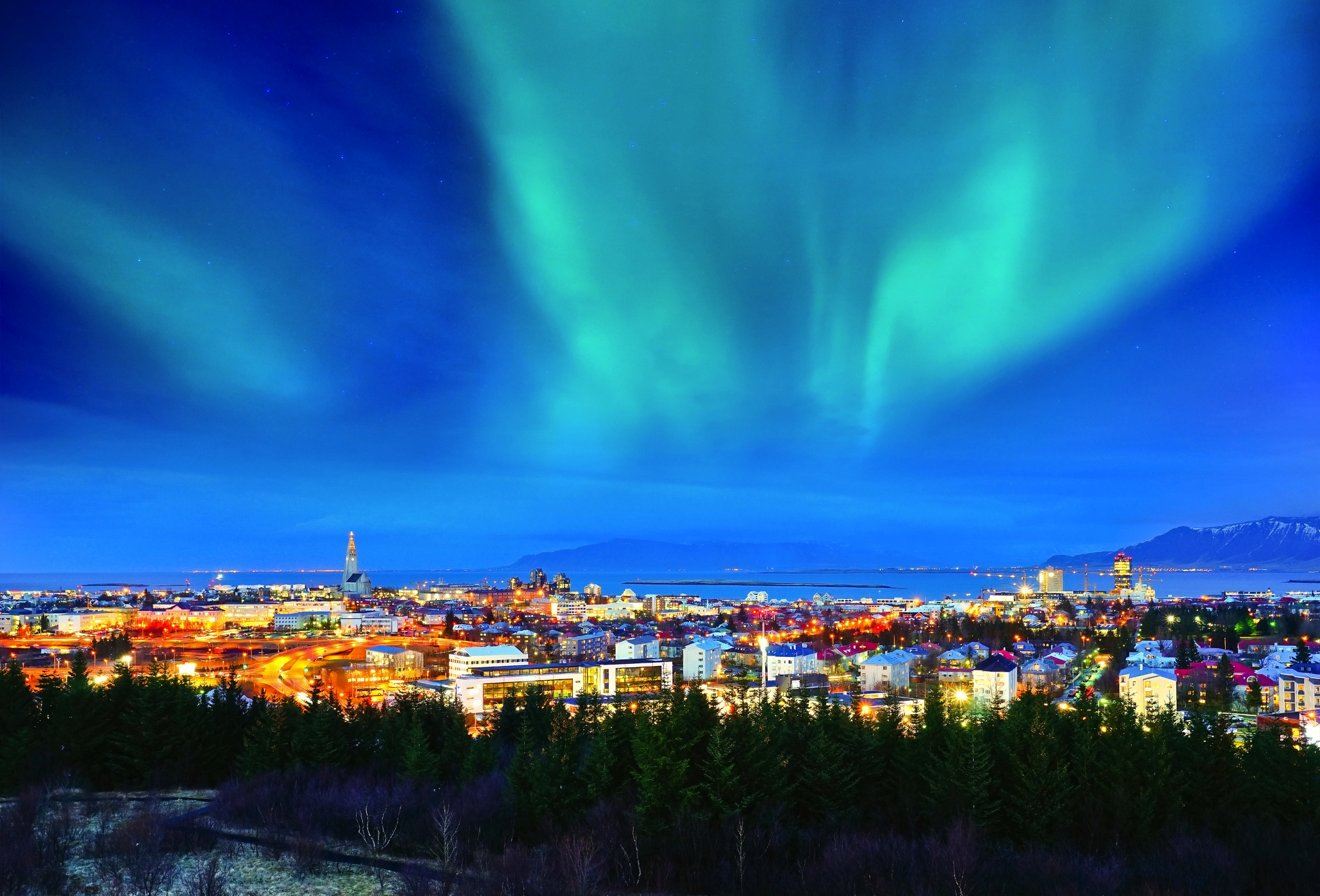 Reykjavik Bild