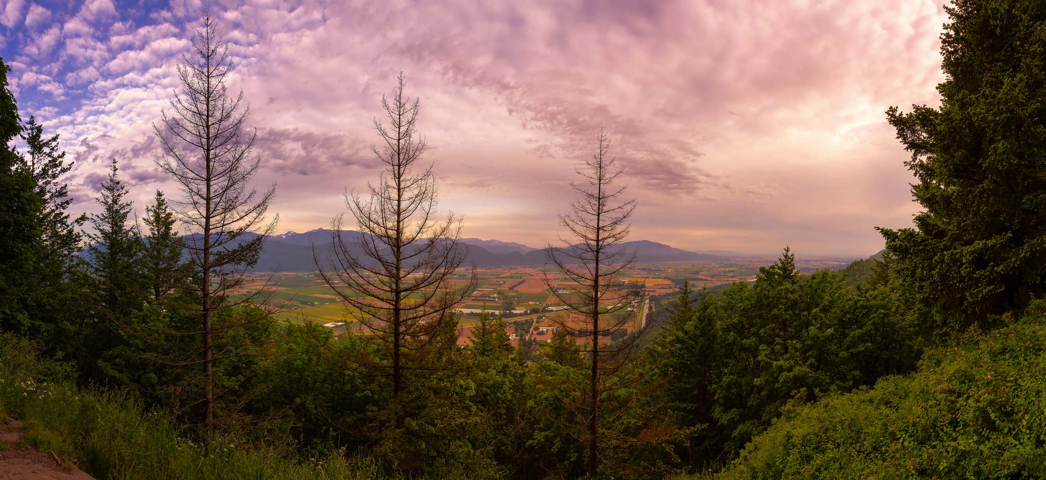 Panoramasicht auf das Fraser Valley Bild