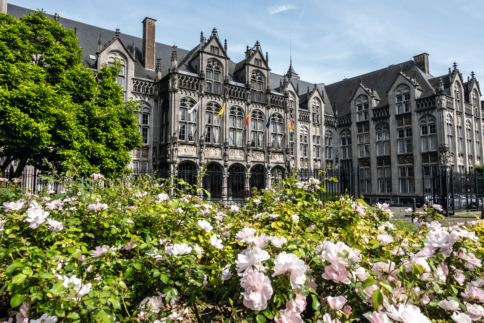 Historisches Gebäude mit gotischen Elementen hinter blühenden Rosen.