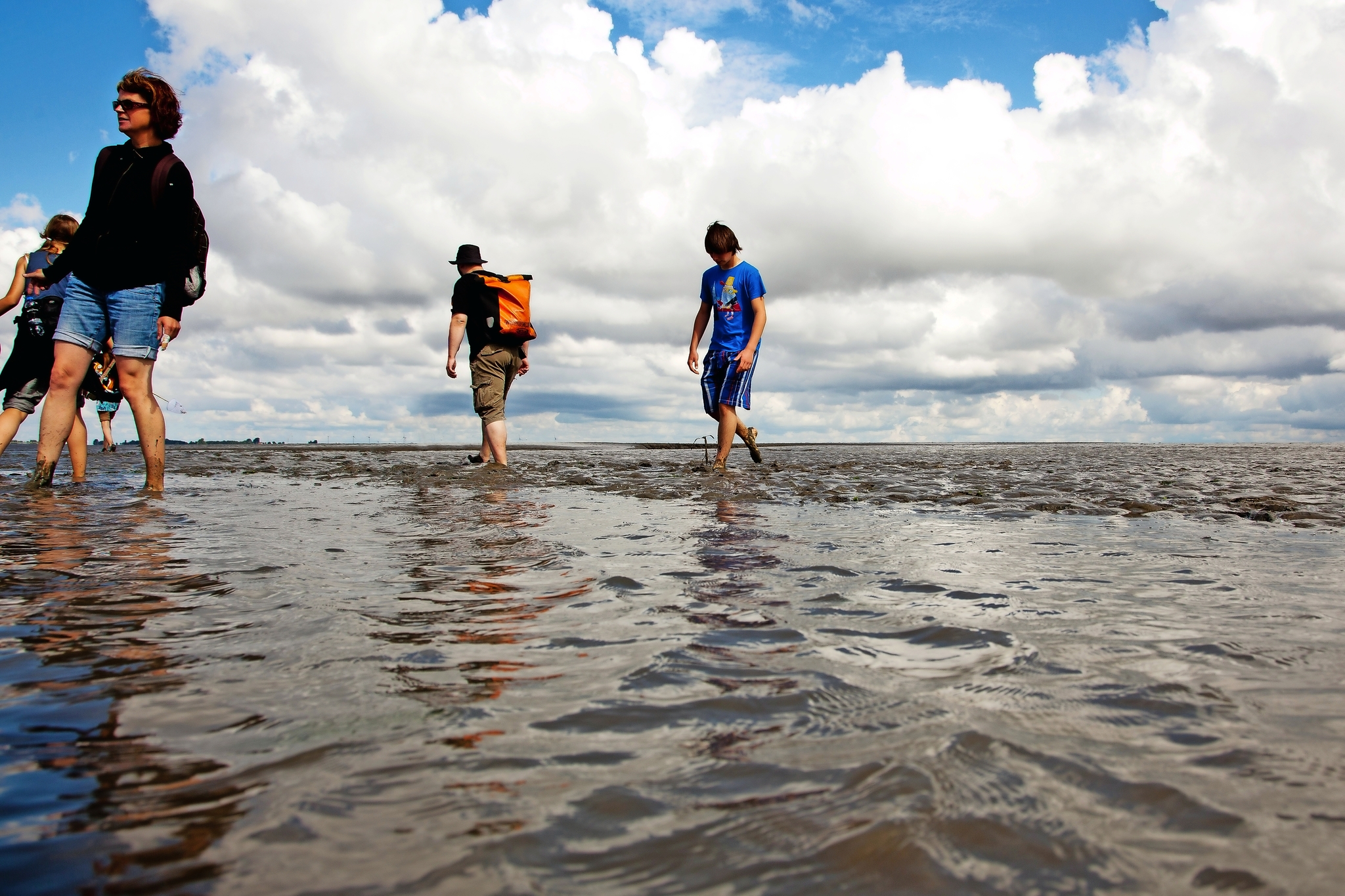 Wattwanderung Nordsee Bild