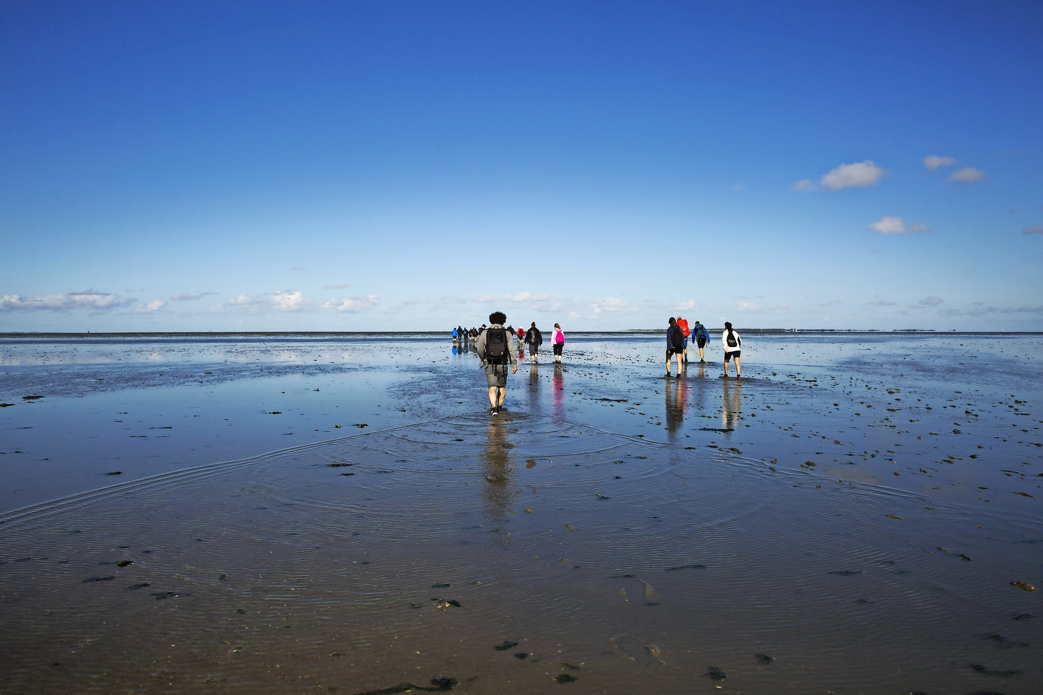 Wattwanderung Nordsee Bild