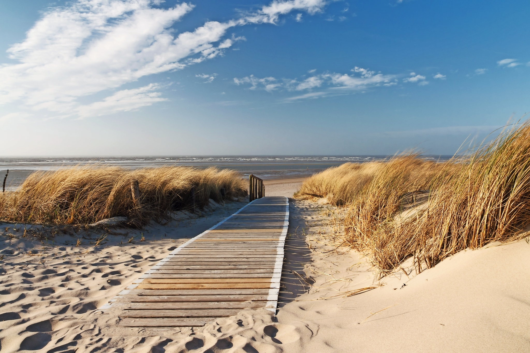 Strand auf Insel Langeoog Bild