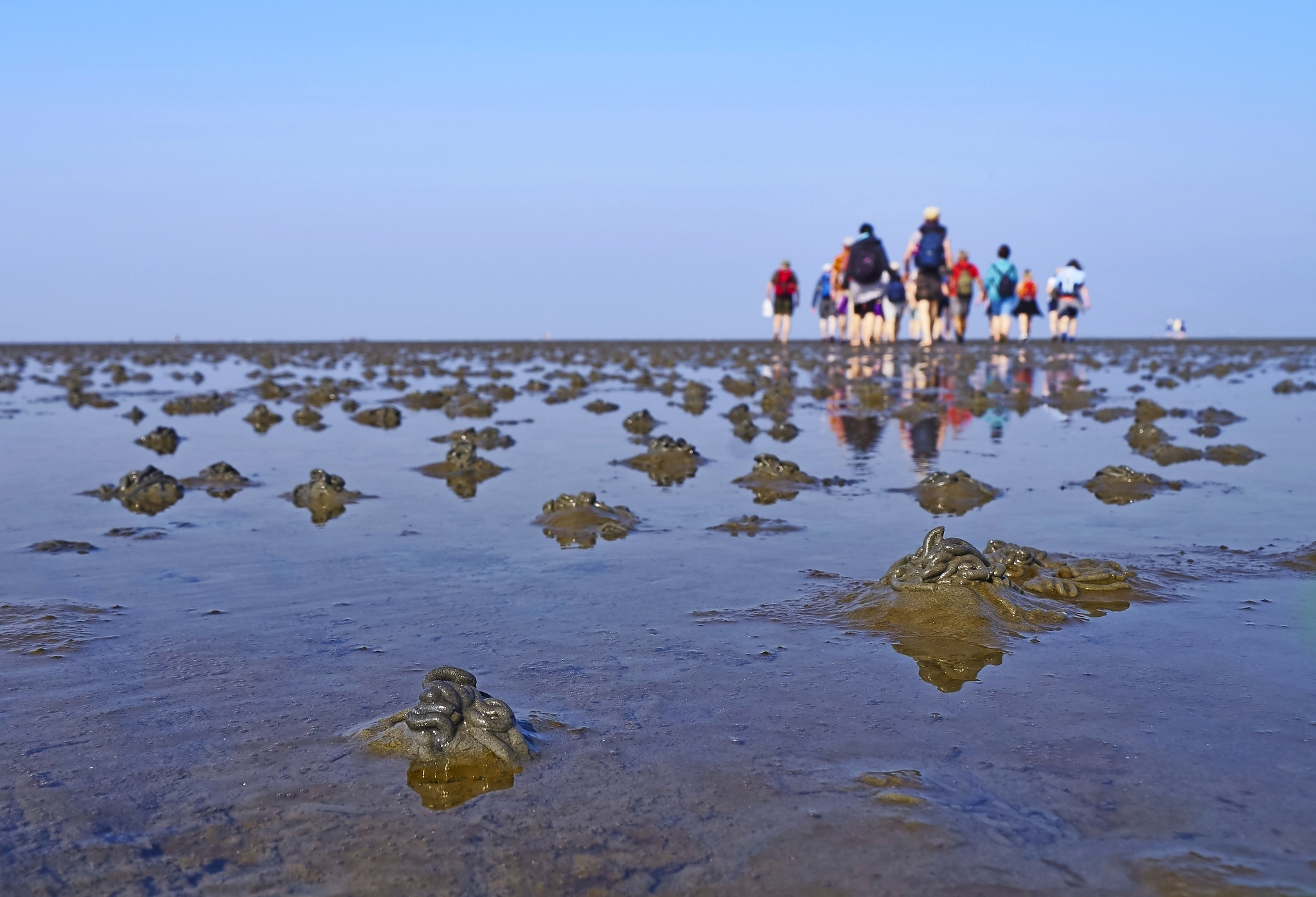 Wattwanderung im Wattenmeer Bild