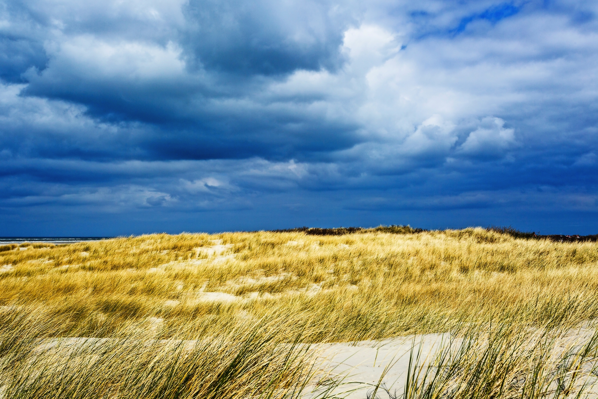 Dünenlandschaft auf Langeoog Bild